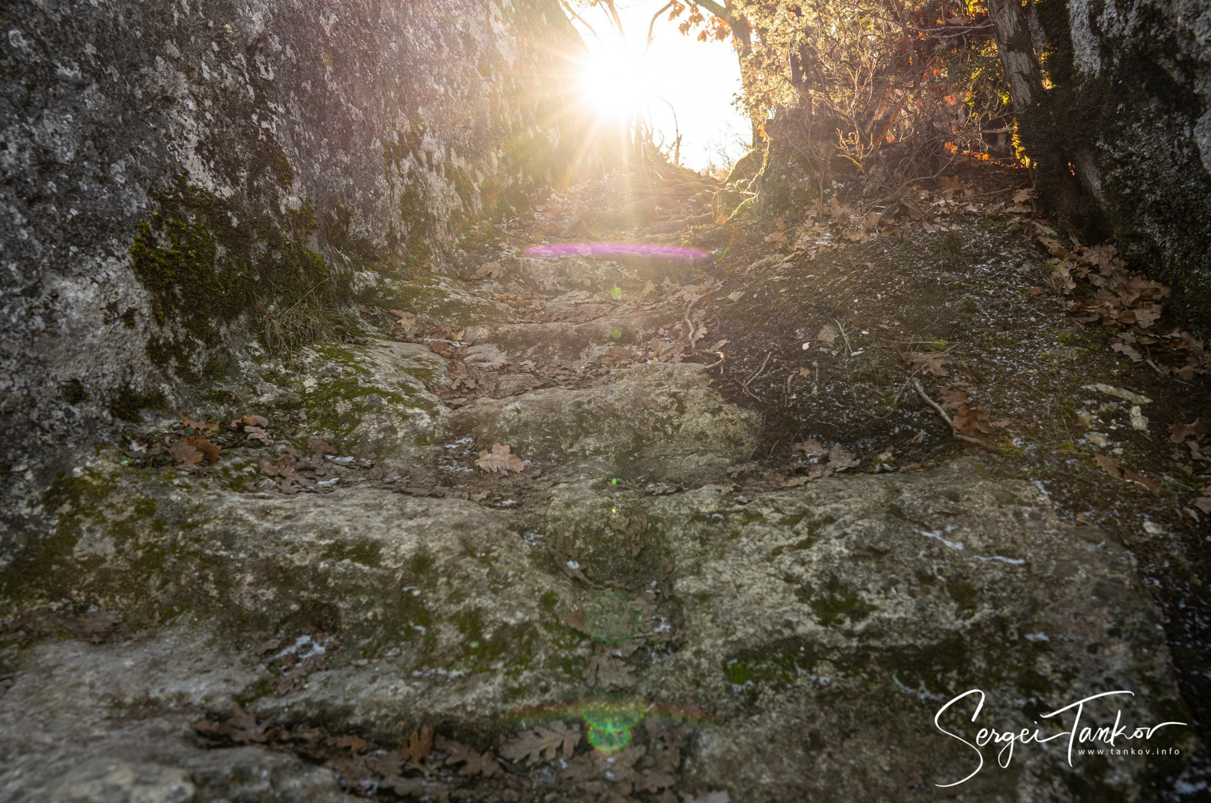 Крым (январь 2020). Фотограф Сергей Танков