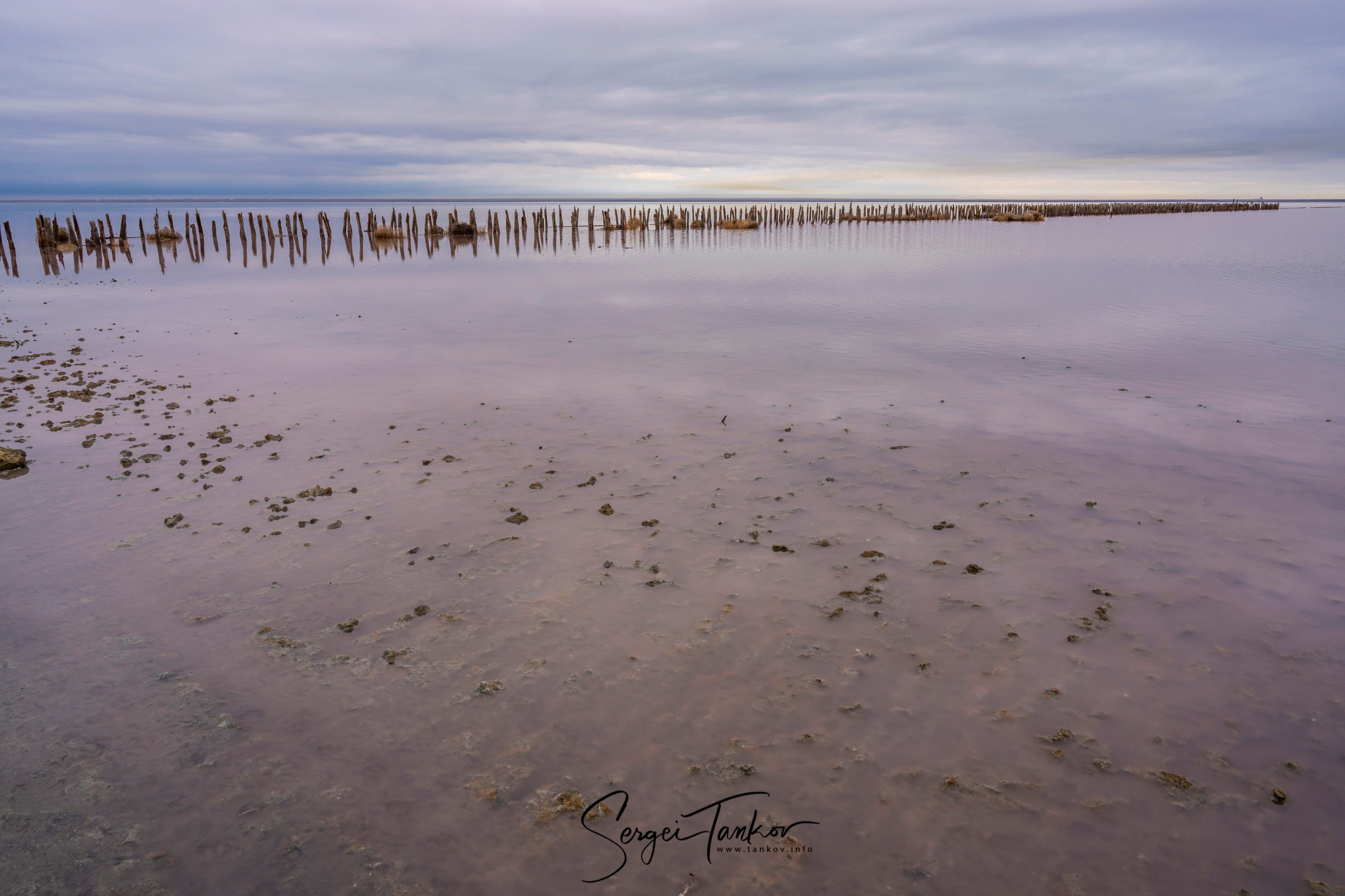 Крым (январь 2020). Фотограф Сергей Танков