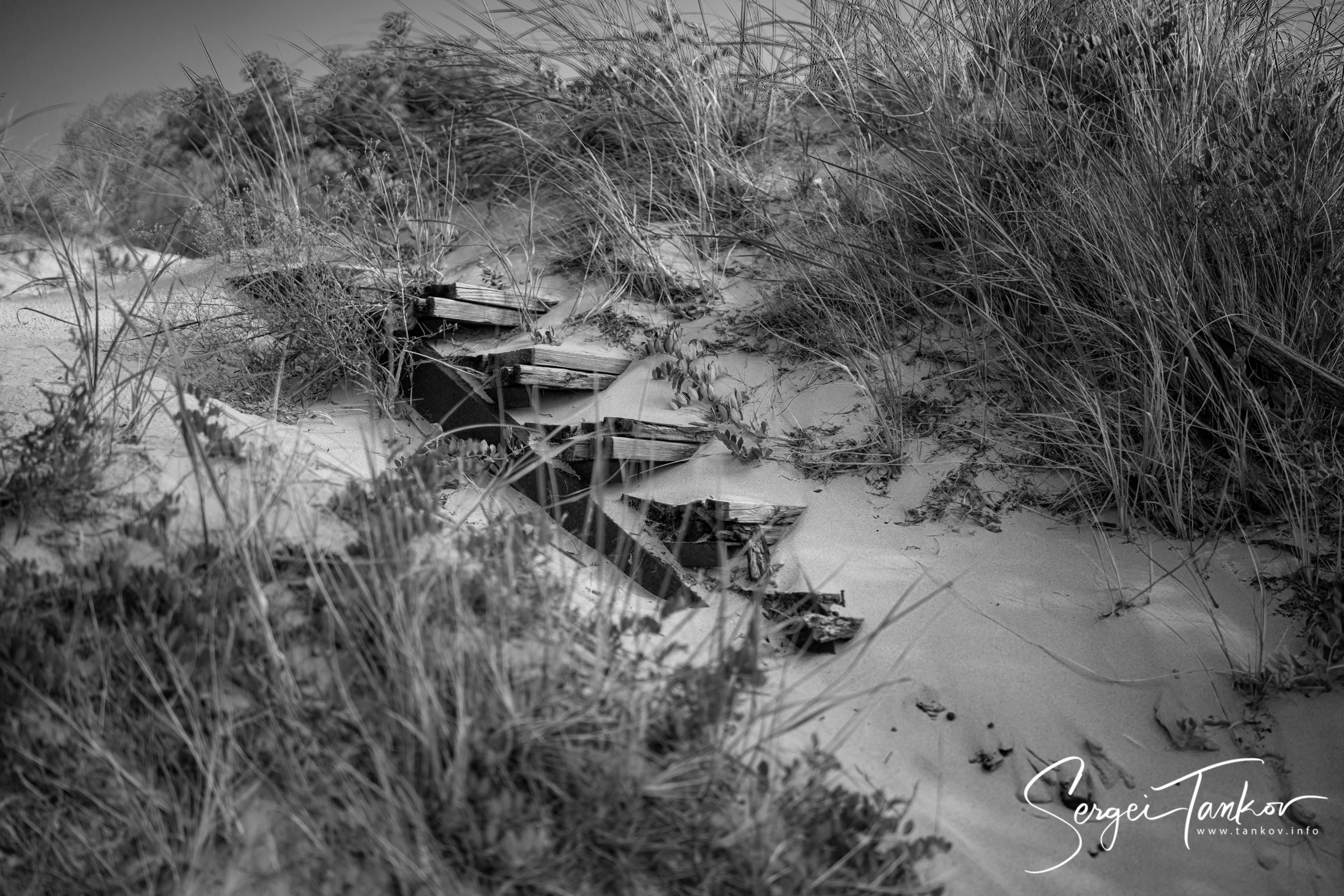 Калининград (июнь 2019). Фотограф Сергей Танков