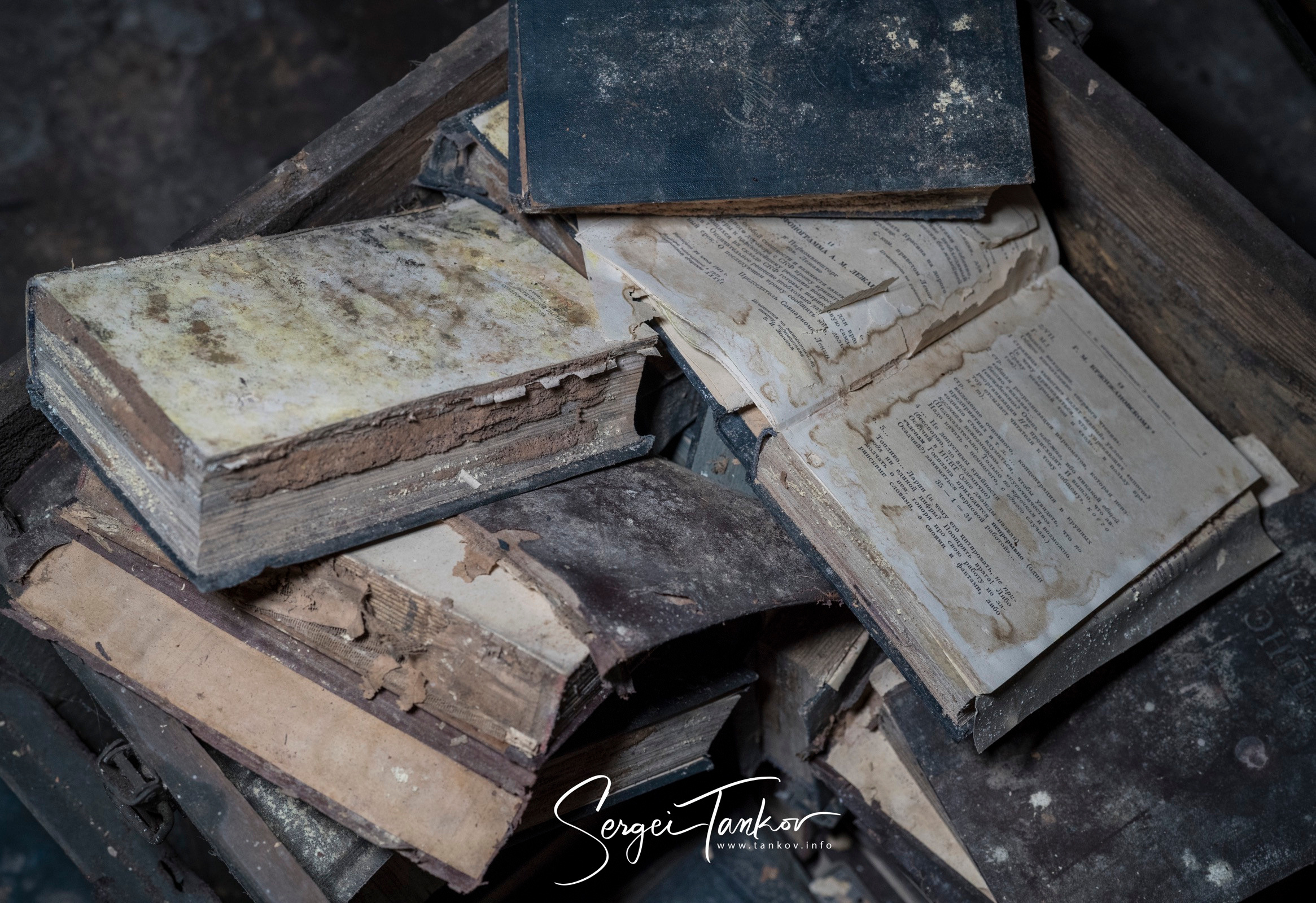 Владивосток (сентябрь 2019). Фотограф Сергей Танков