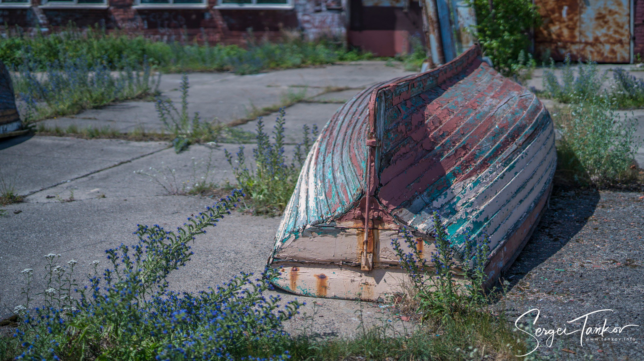 Калининград (июнь 2019). Фотограф Сергей Танков