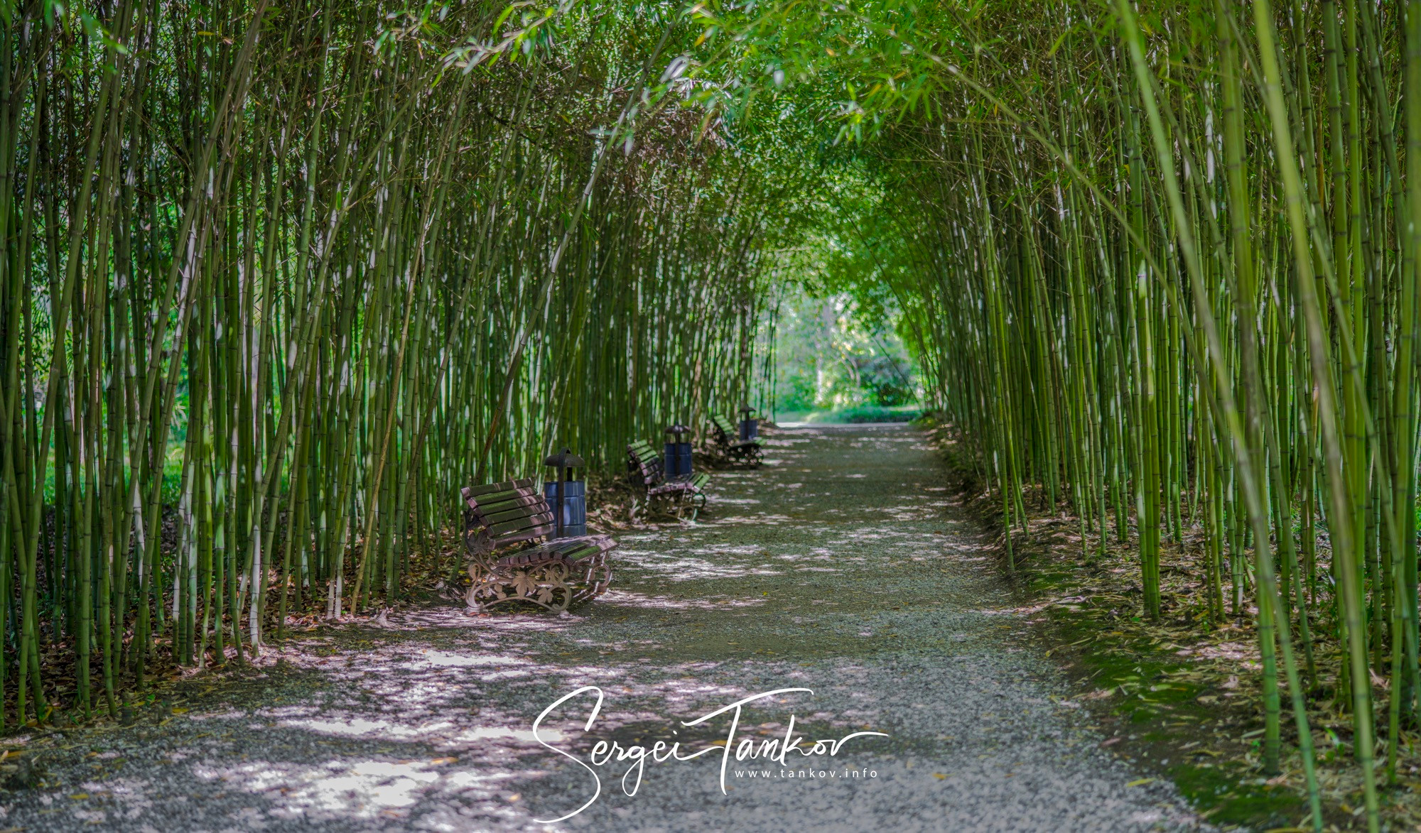 Абхазия (май 2019). Фотограф Сергей Танков