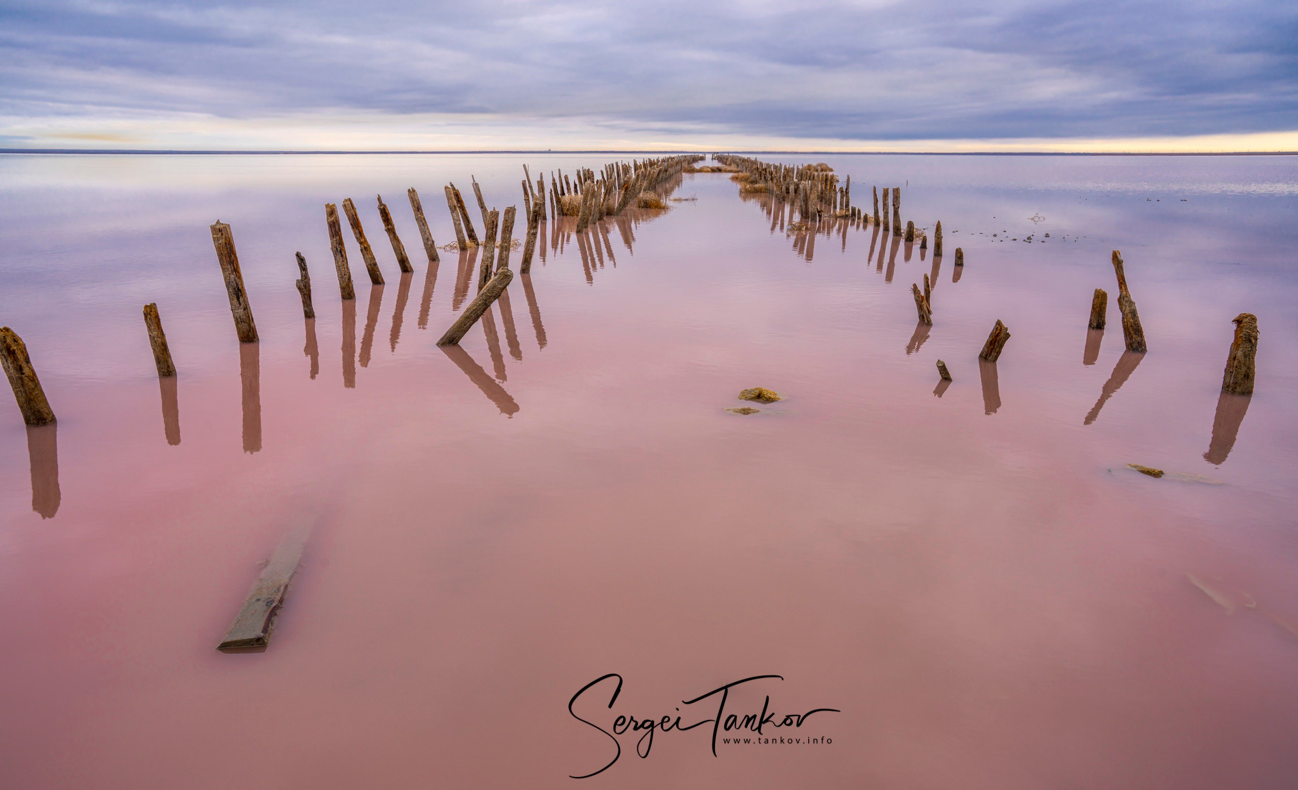 Крым (январь 2020). Фотограф Сергей Танков