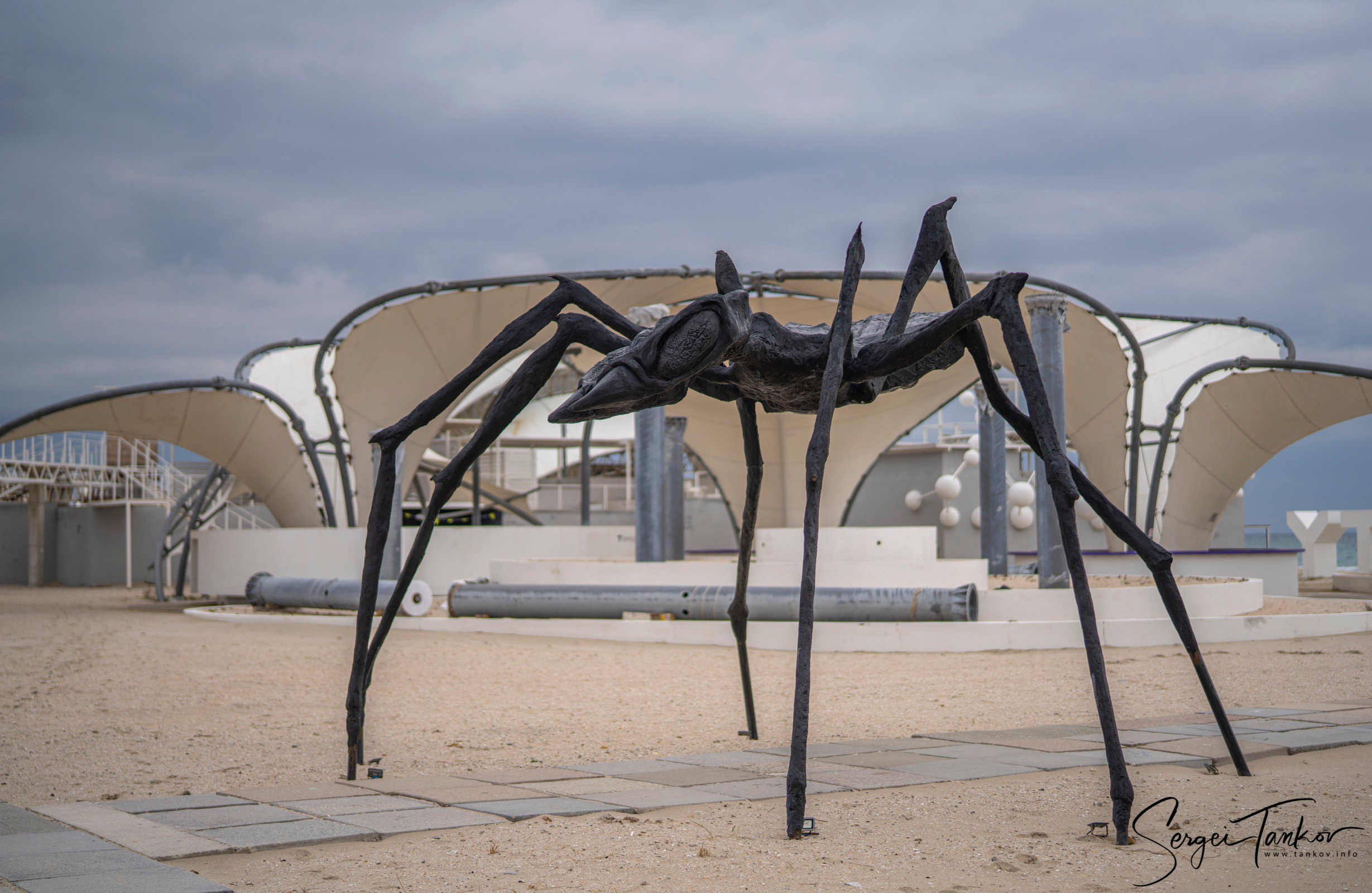 Крым (январь 2020). Фотограф Сергей Танков