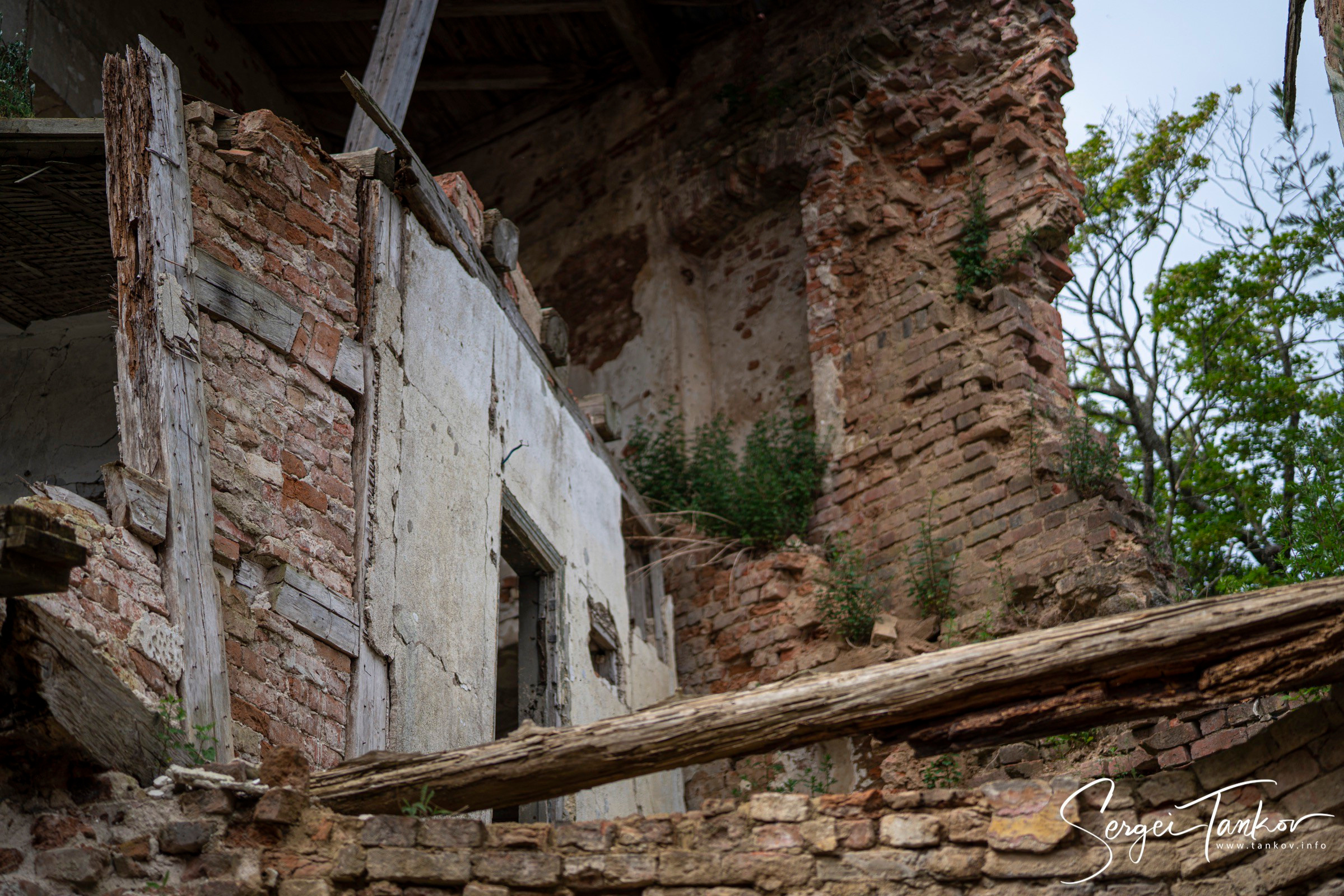 Калининград (июнь 2019). Фотограф Сергей Танков