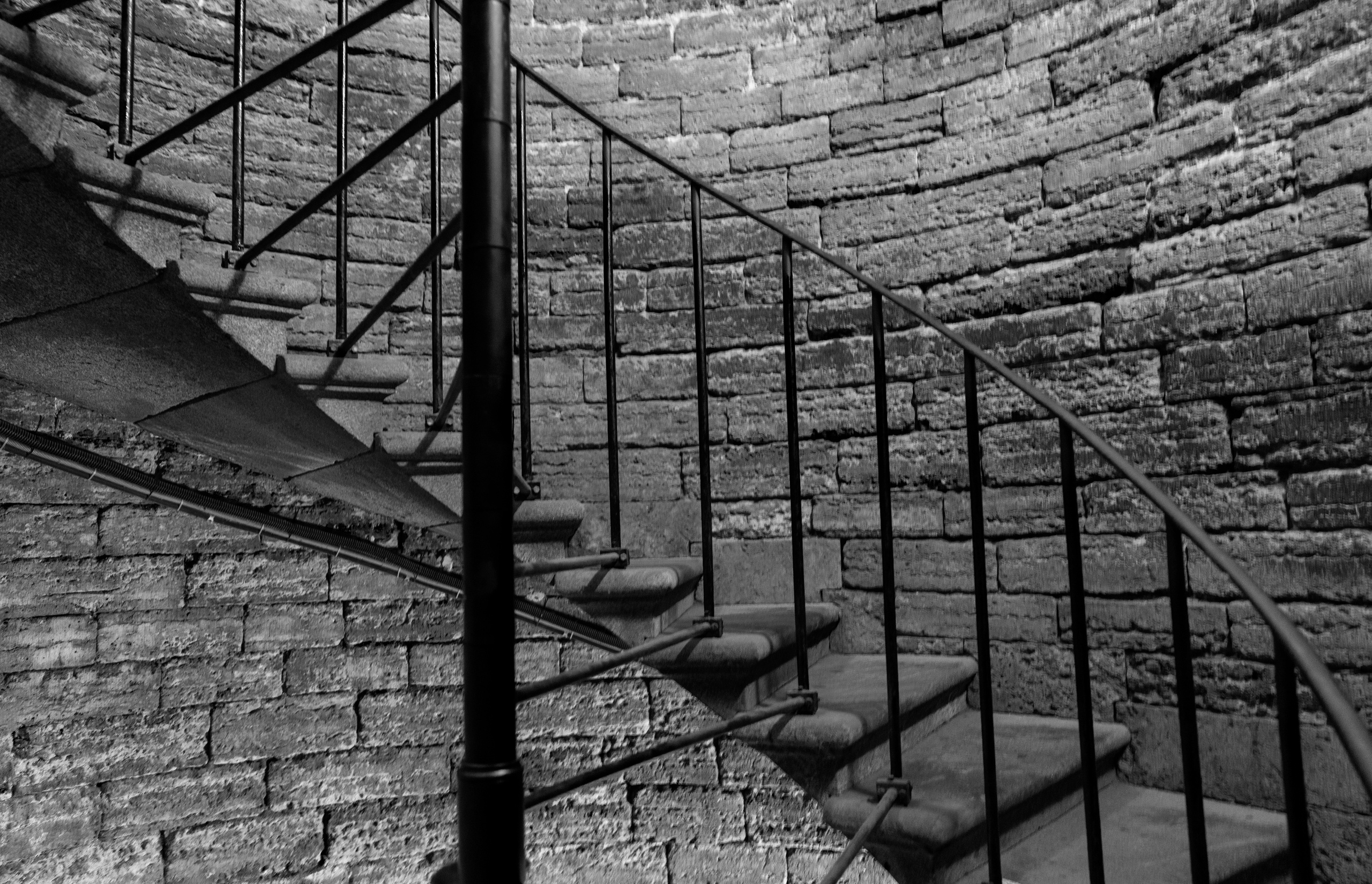 Питер (2020). Фотограф Сергей Танков