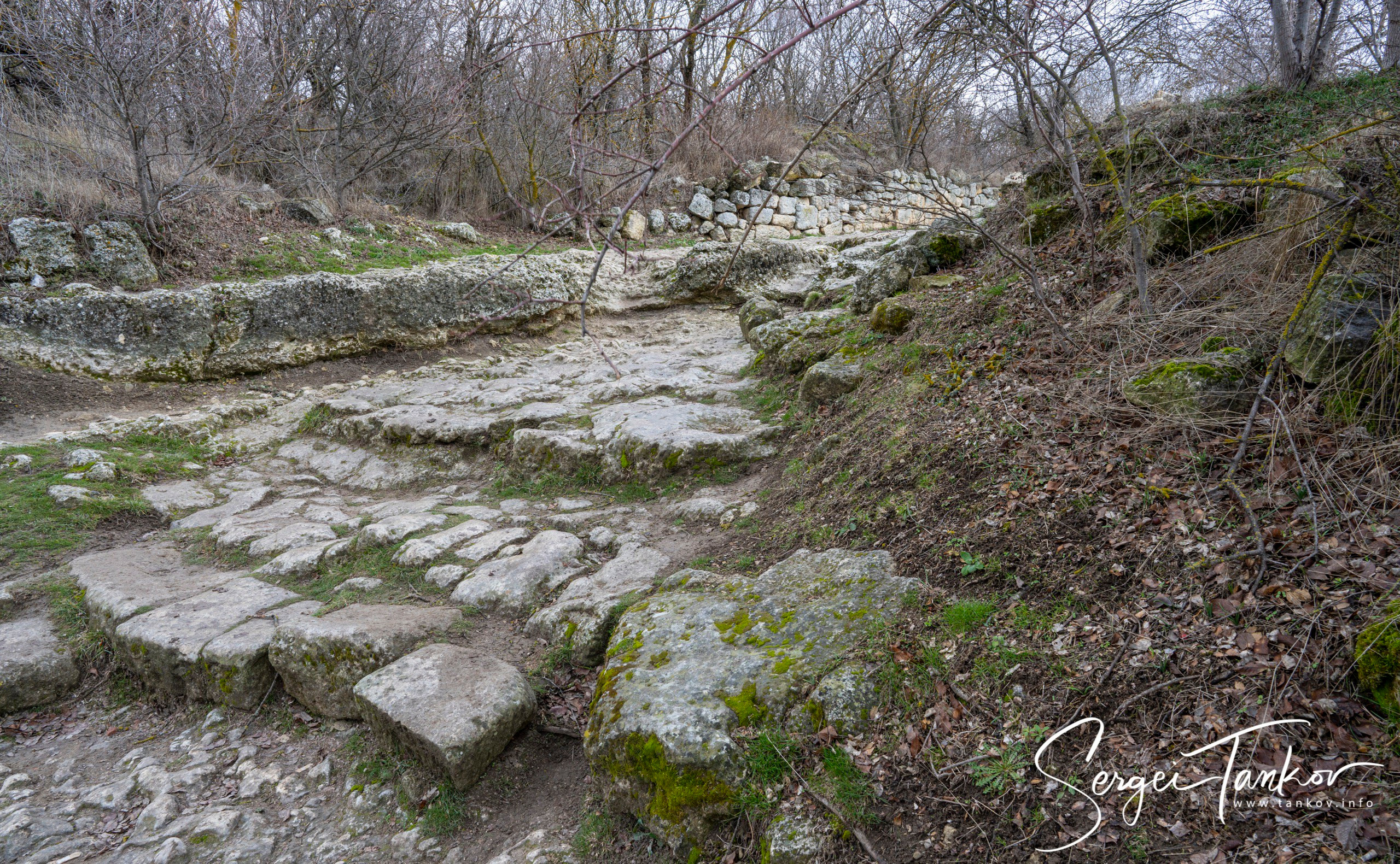 Крым (январь 2020). Фотограф Сергей Танков