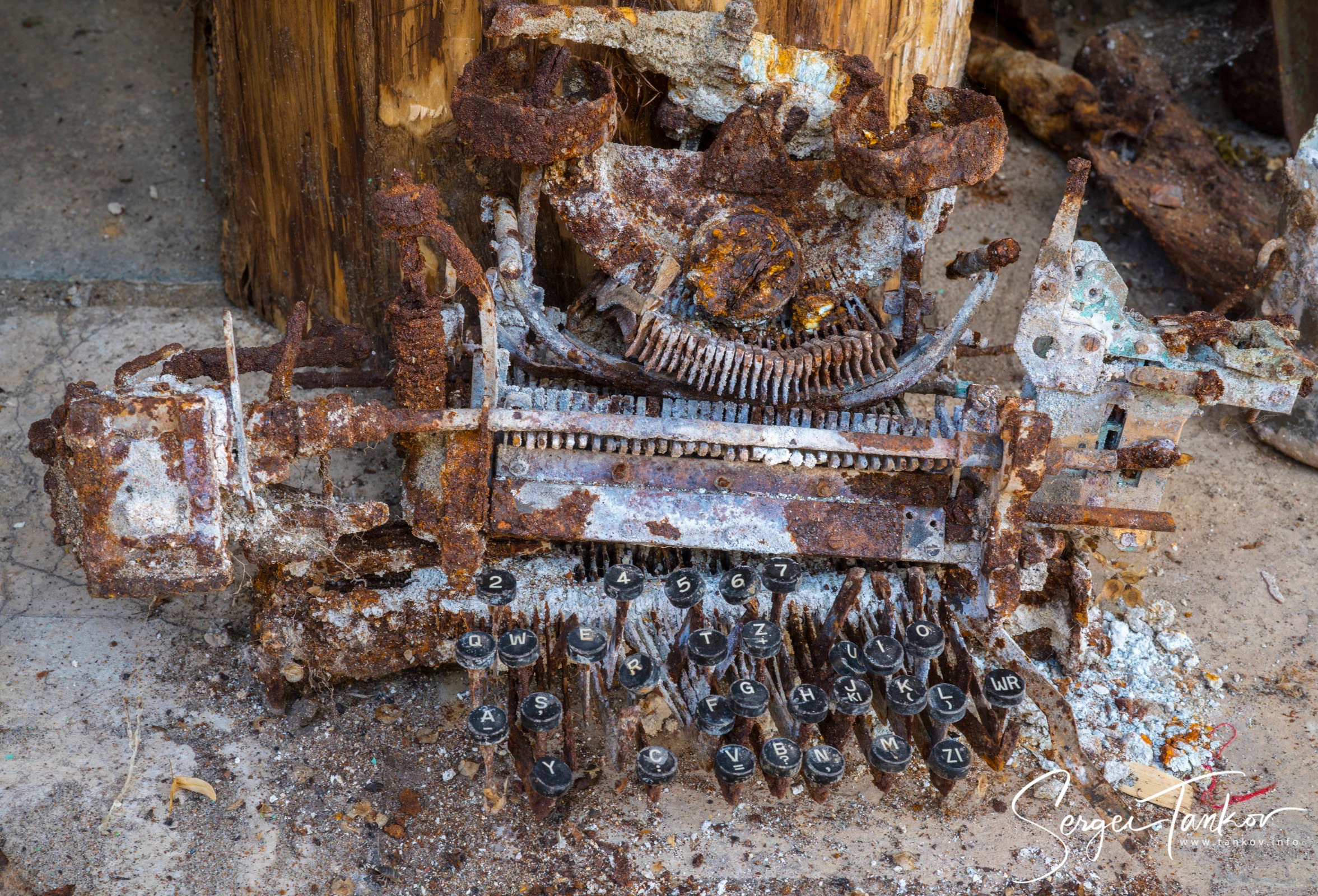 Калининград (июнь 2019). Фотограф Сергей Танков