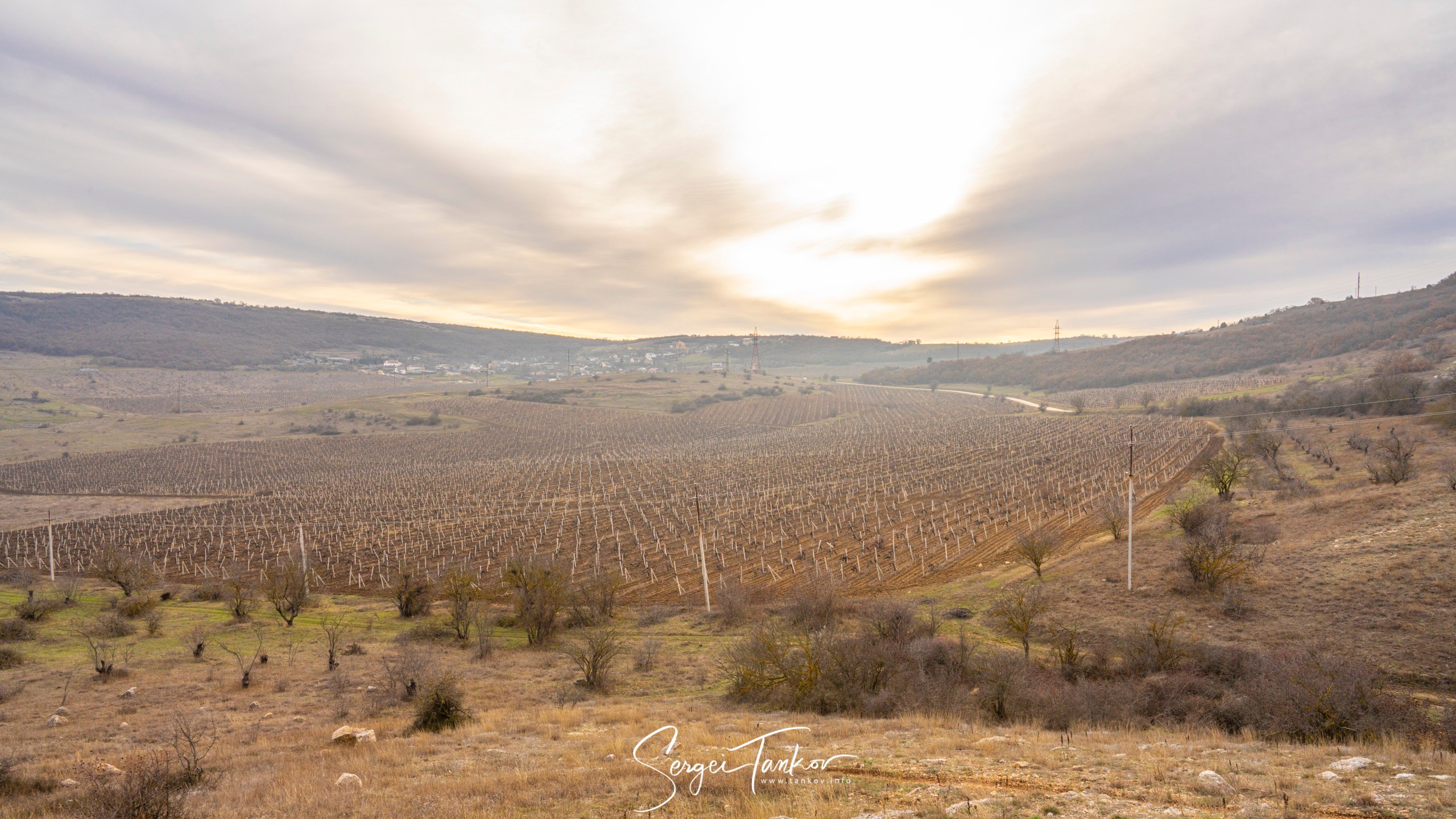 Крым (январь 2020). Фотограф Сергей Танков