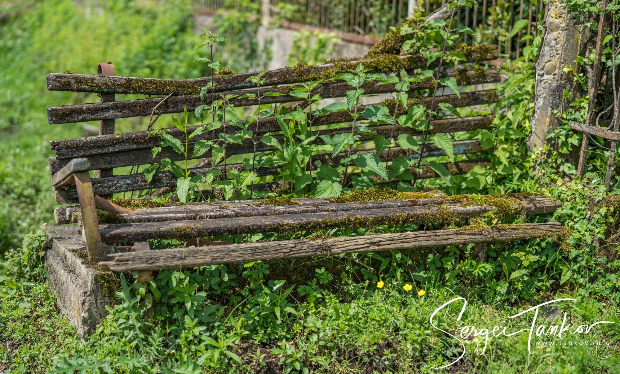 Абхазия (май 2019). Фотограф Сергей Танков