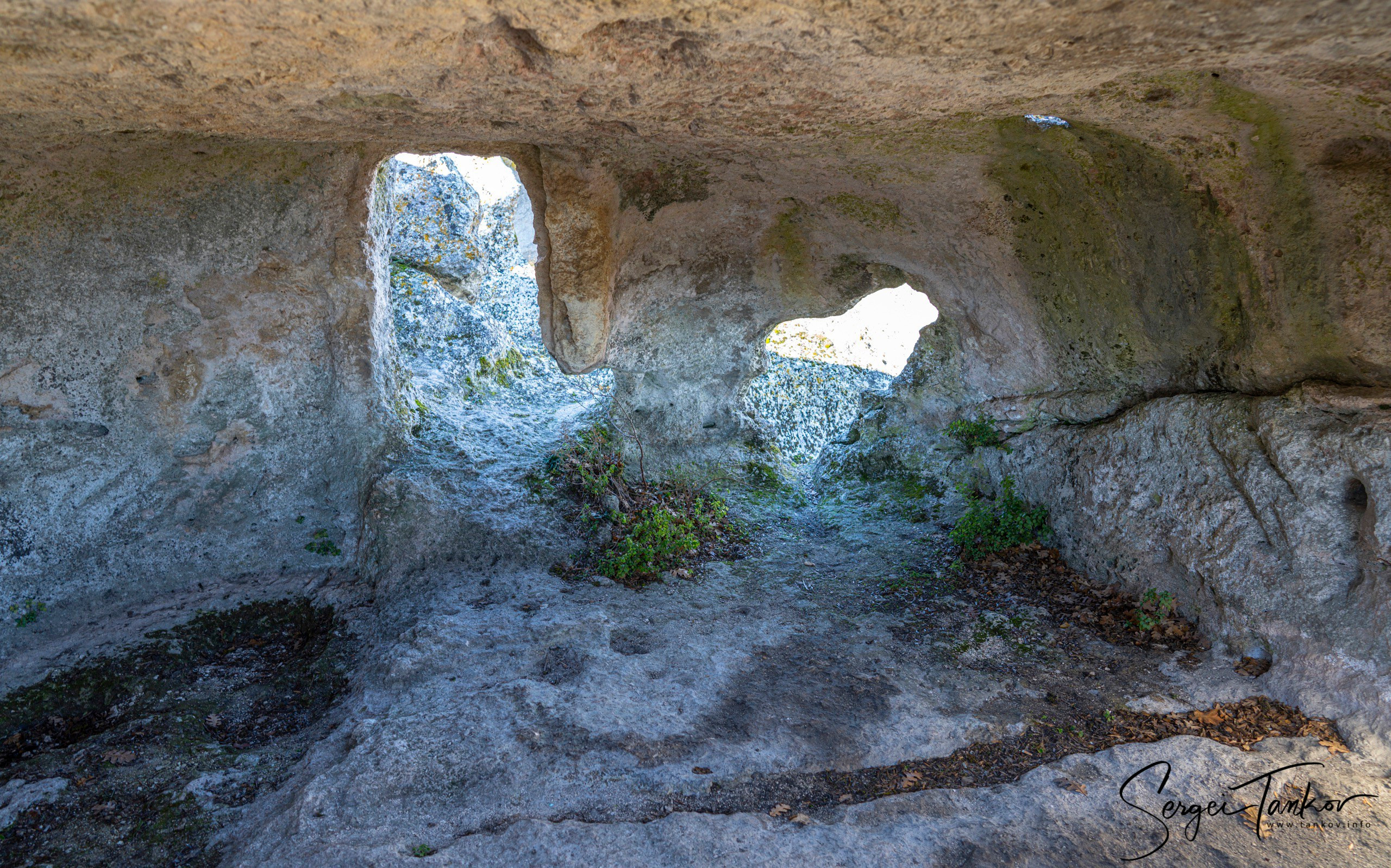 Крым (январь 2020). Фотограф Сергей Танков
