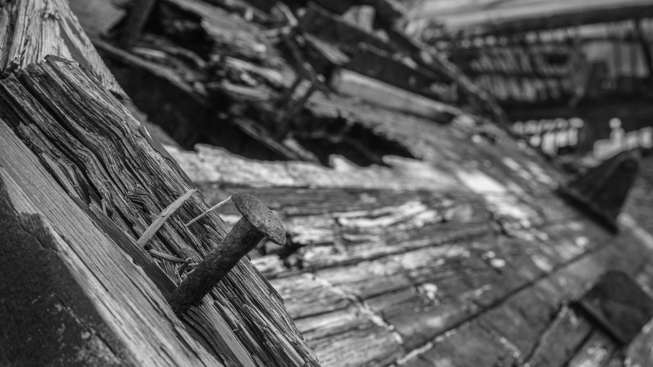 Териберка (октябрь 2020). Фотограф Сергей Танков