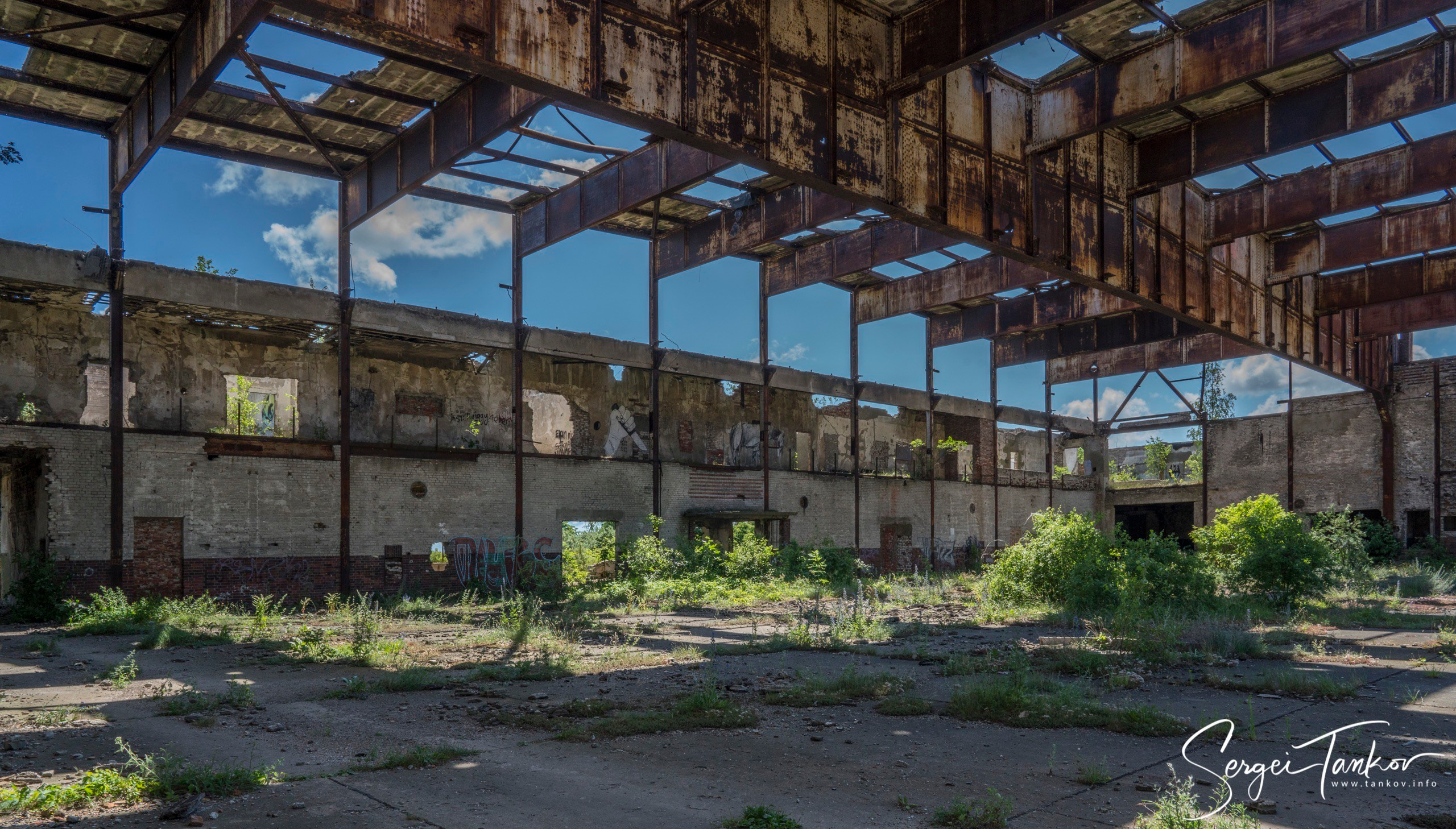 Калининград (июнь 2019). Фотограф Сергей Танков