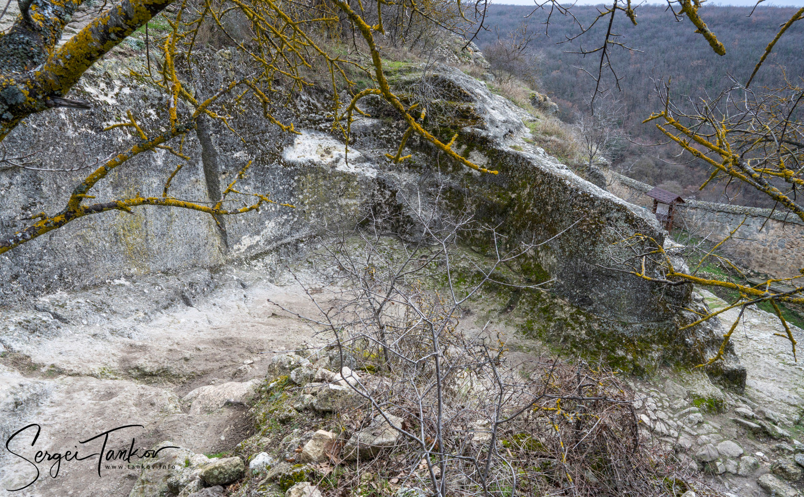 Крым (январь 2020). Фотограф Сергей Танков