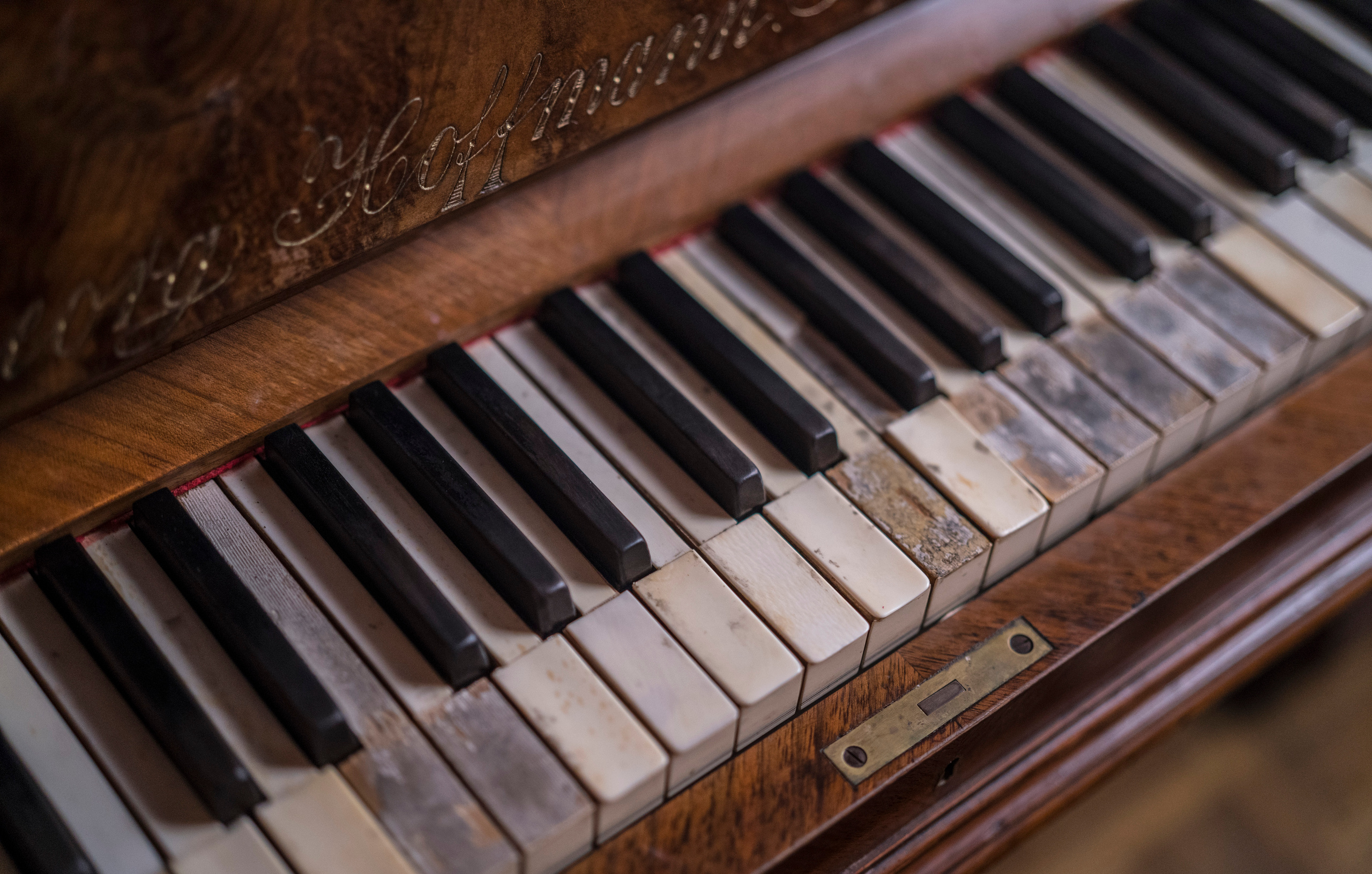 Дашков 5. Фотограф Сергей Танков