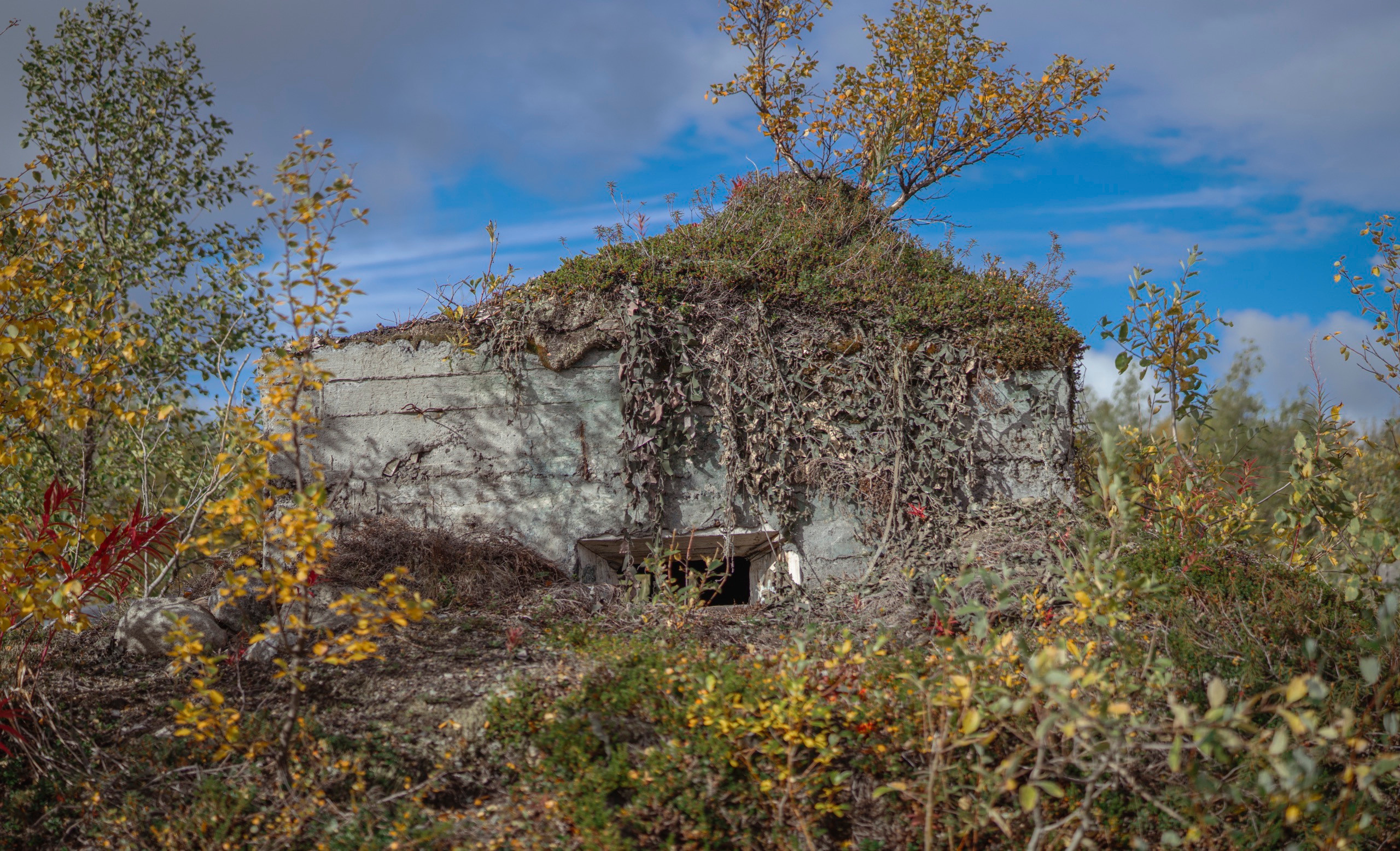 Териберка (октябрь 2020). Фотограф Сергей Танков