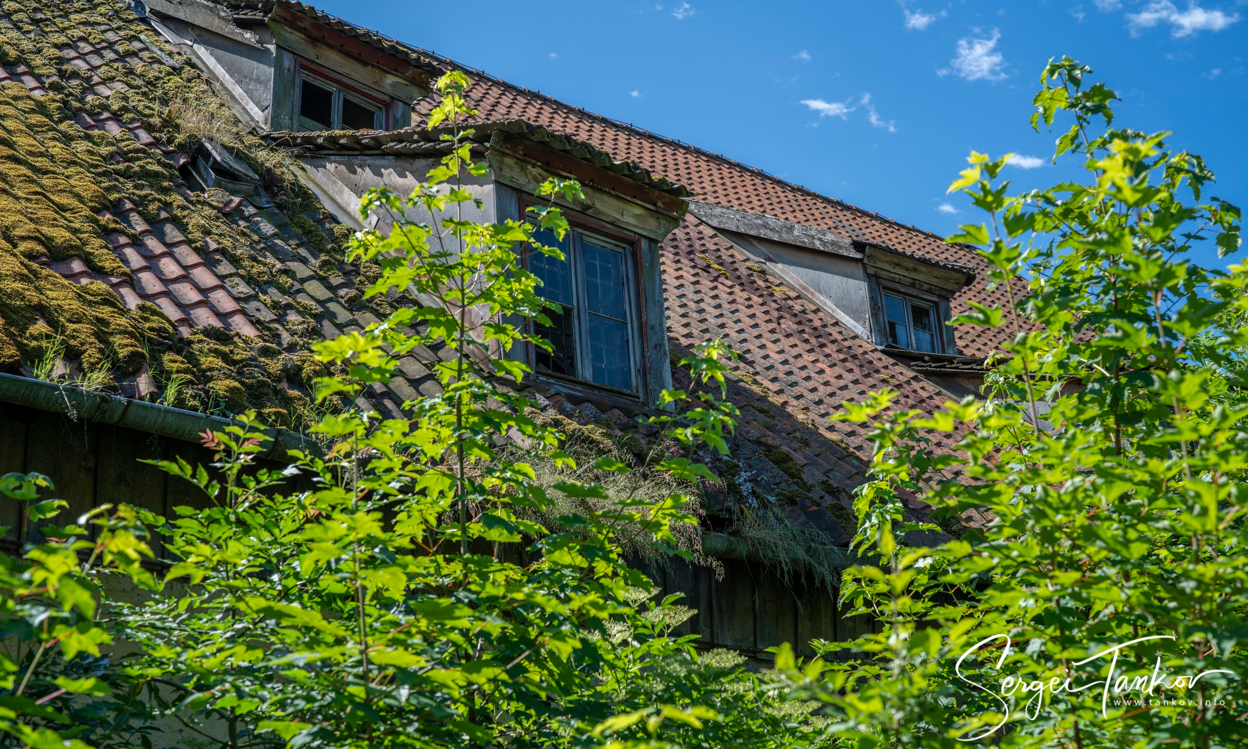 Калининград (июнь 2019). Фотограф Сергей Танков