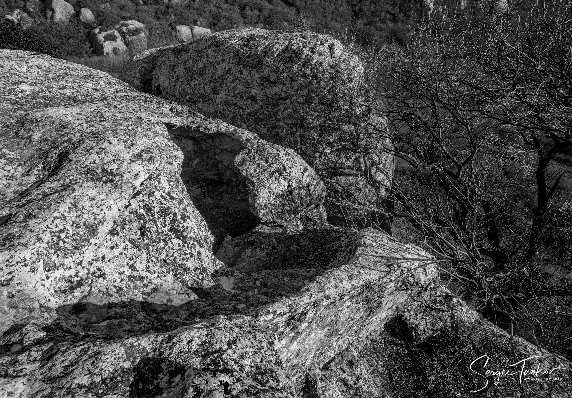Крым (январь 2020). Фотограф Сергей Танков
