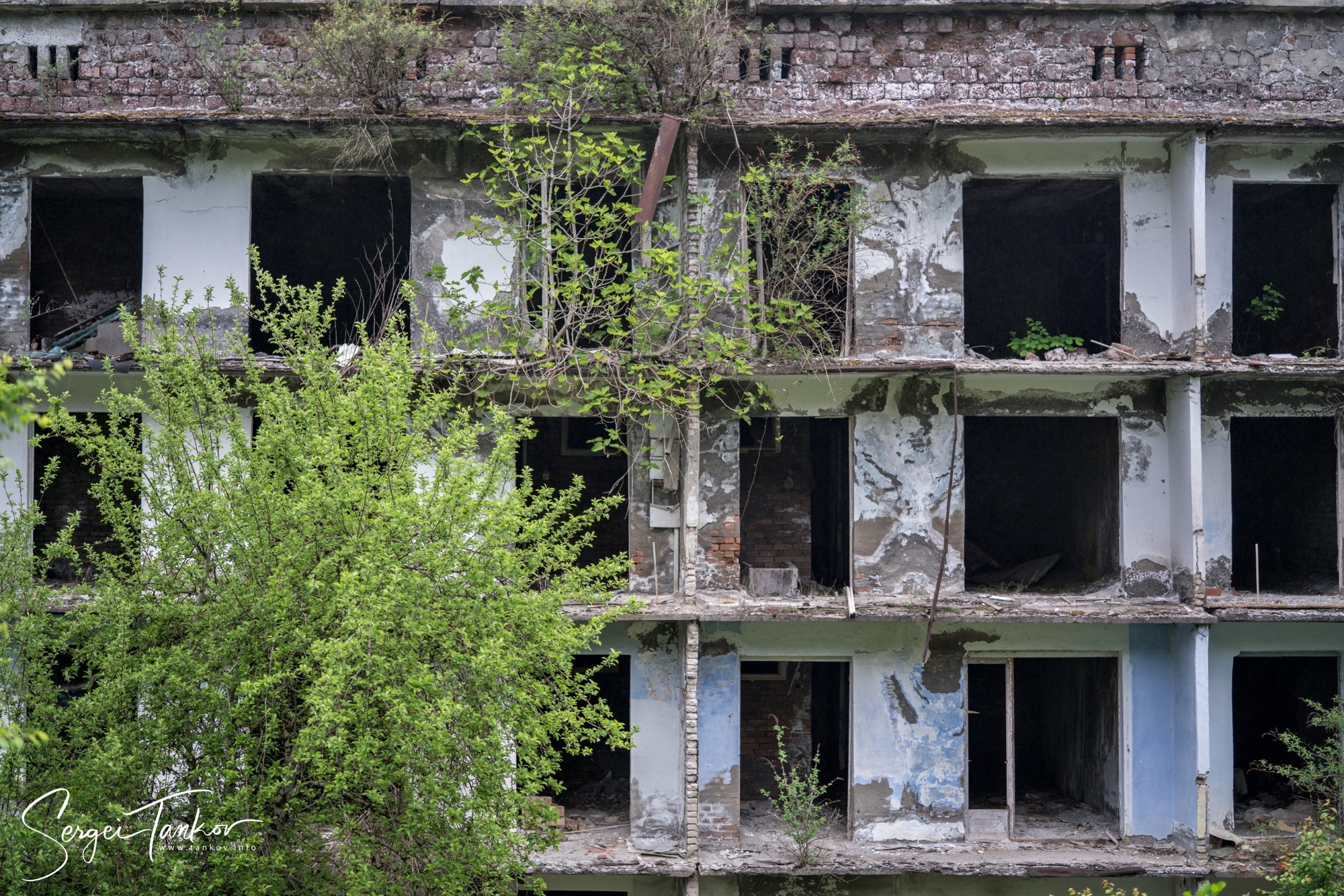 Абхазия (май 2019). Фотограф Сергей Танков