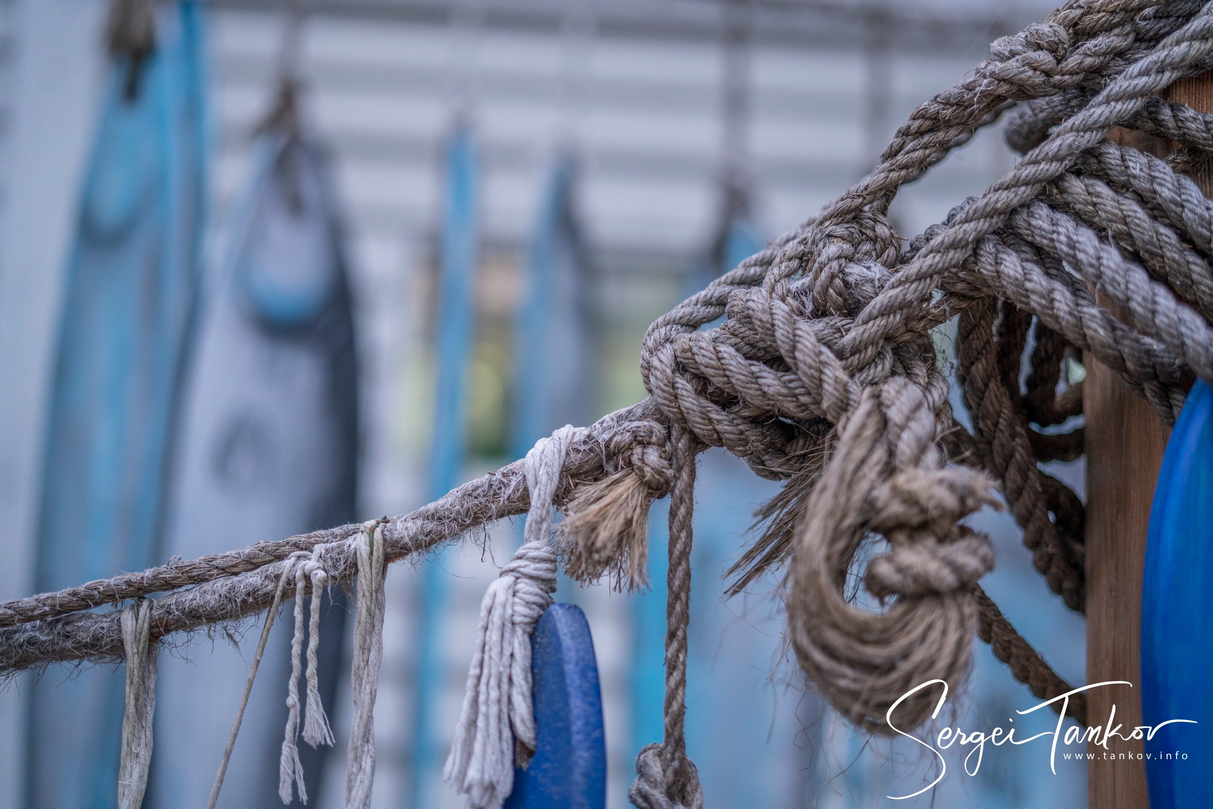 Владивосток (сентябрь 2019). Фотограф Сергей Танков