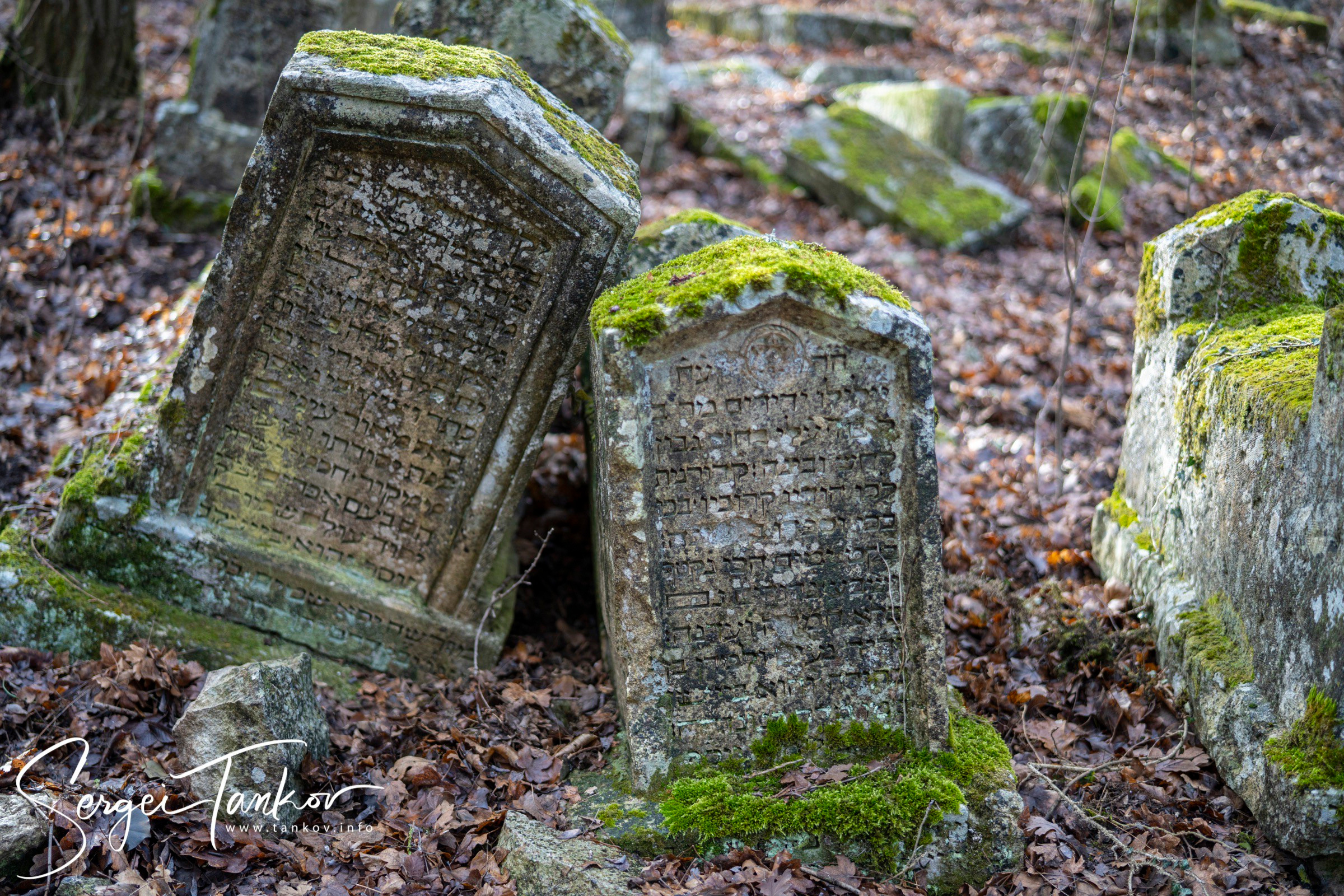 Крым (январь 2020). Фотограф Сергей Танков