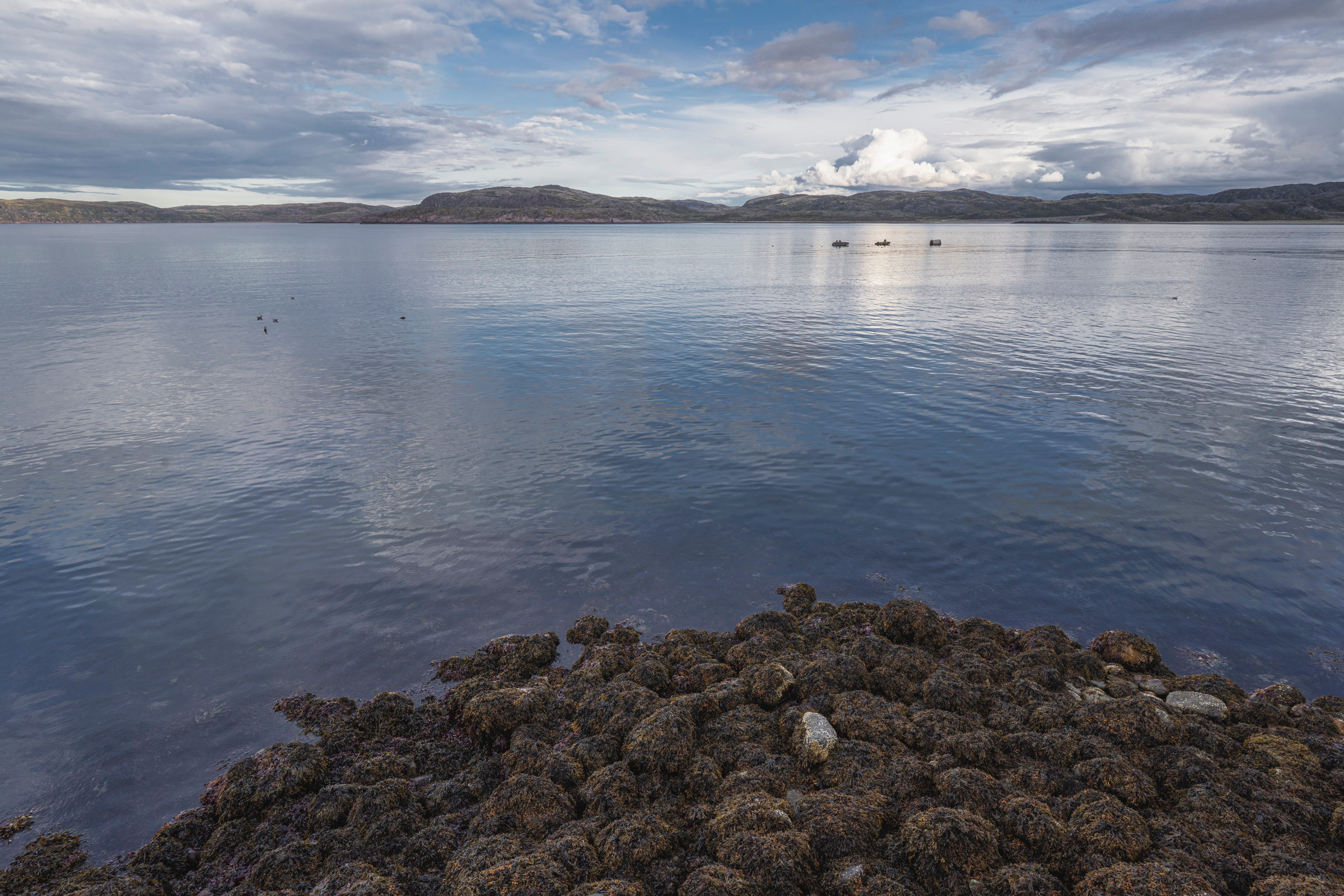 Териберка (октябрь 2020). Фотограф Сергей Танков