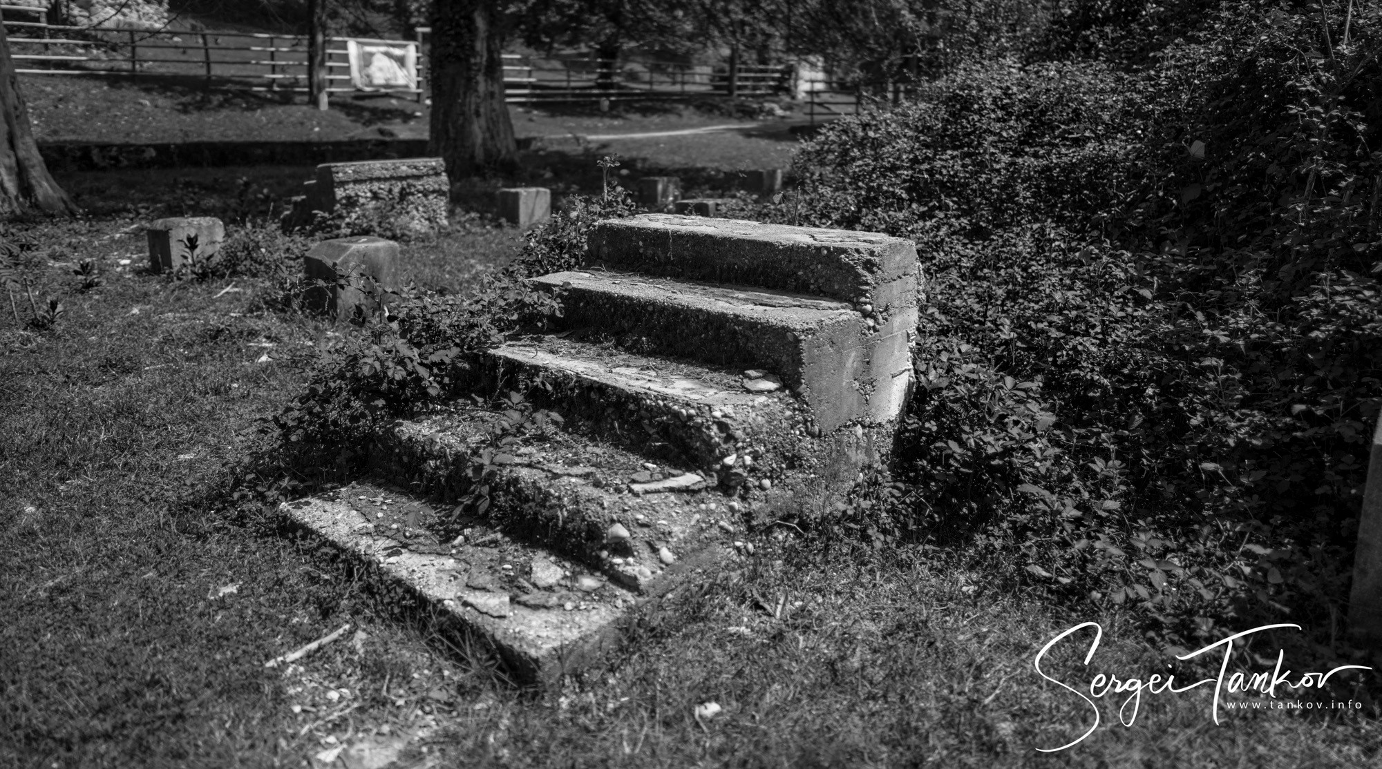 Абхазия (май 2019). Фотограф Сергей Танков