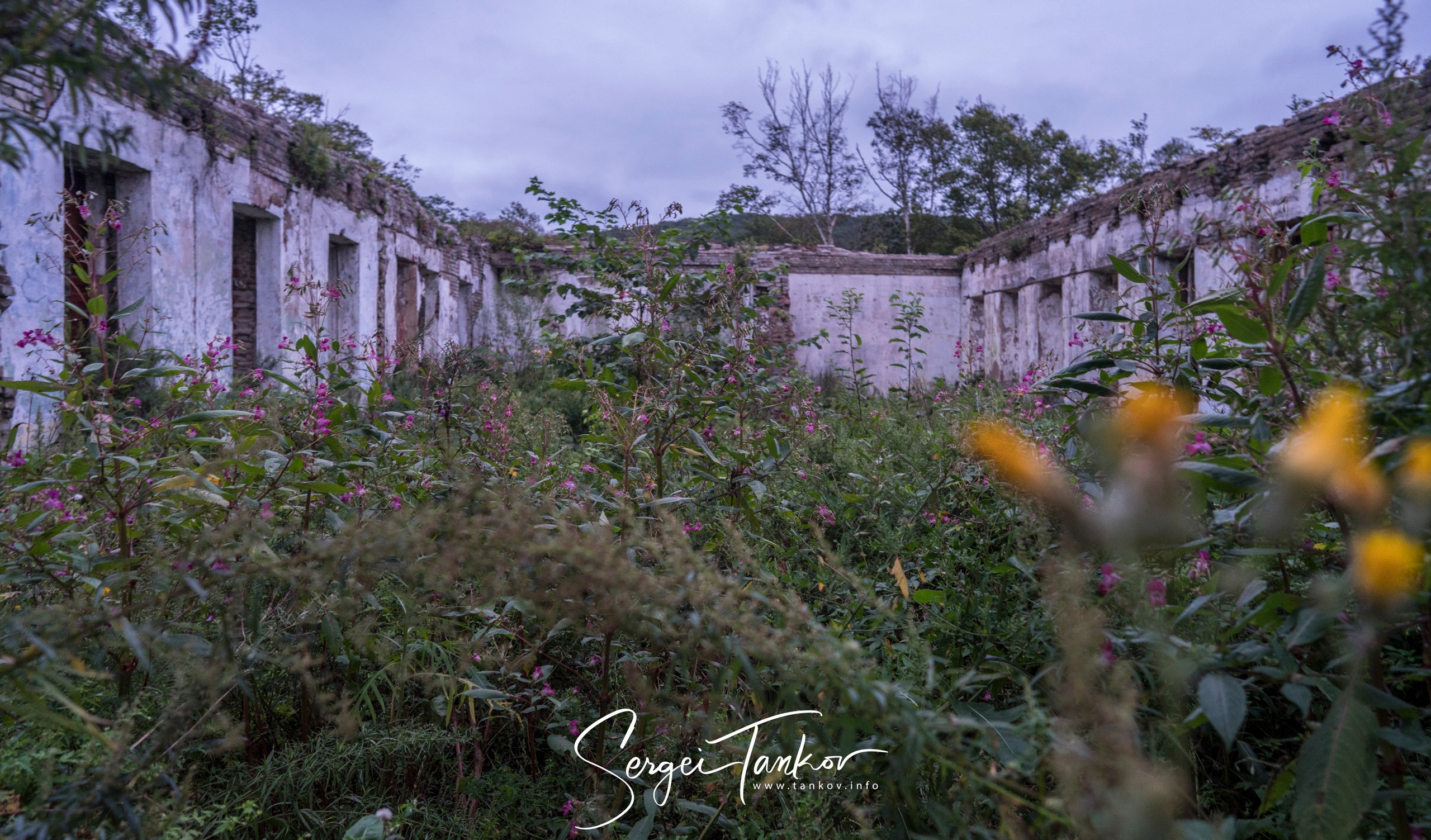 Владивосток (сентябрь 2019). Фотограф Сергей Танков