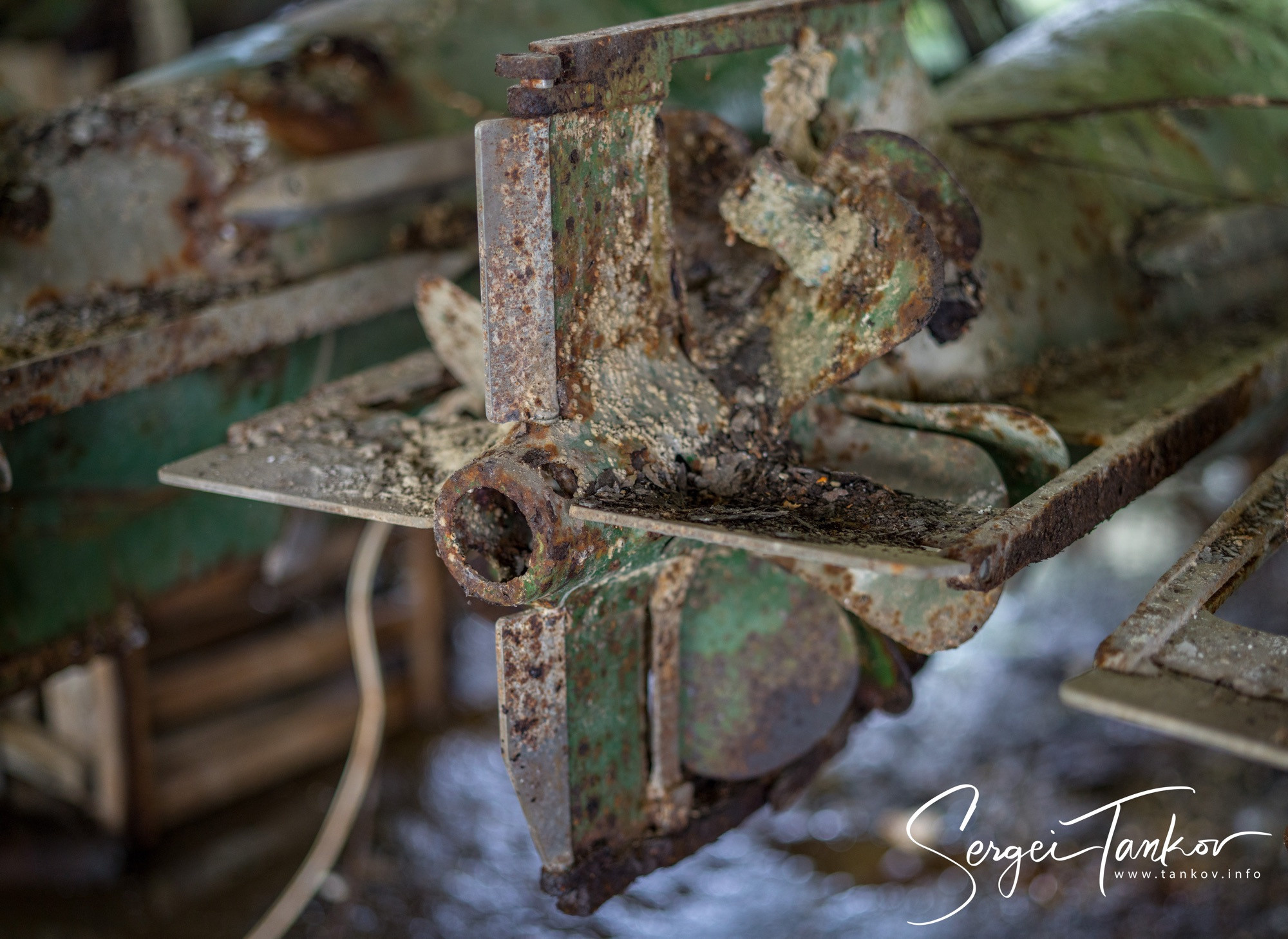 Абхазия (май 2019). Фотограф Сергей Танков