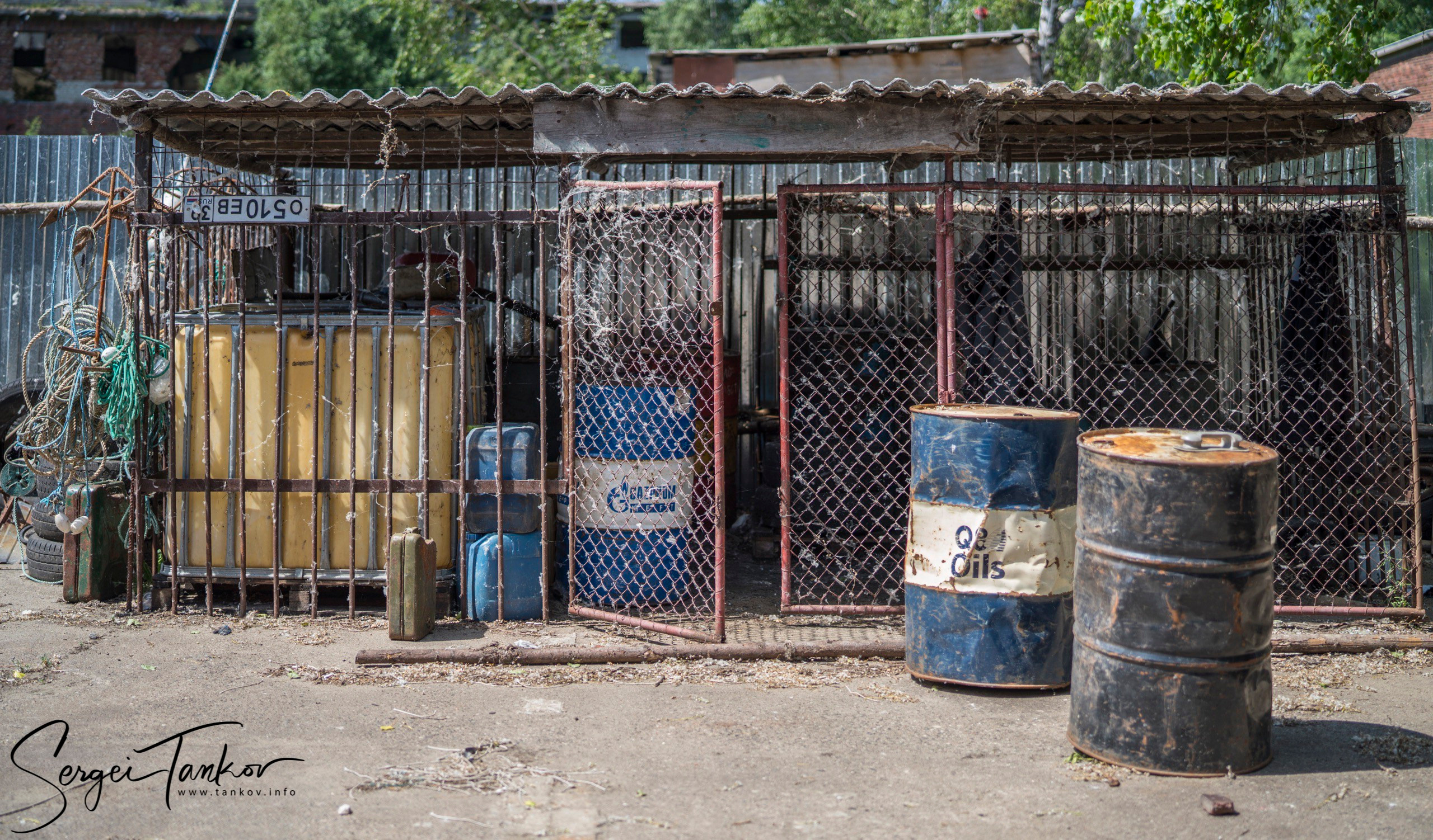 Калининград (июнь 2019). Фотограф Сергей Танков