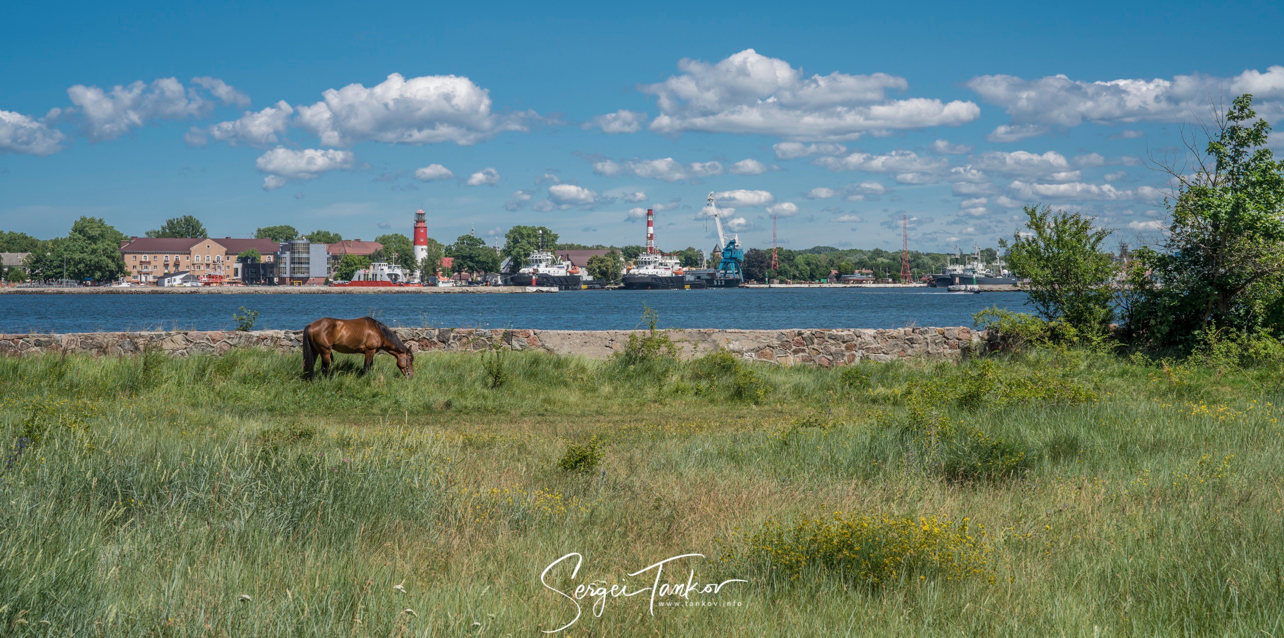 Калининград (июнь 2019). Фотограф Сергей Танков