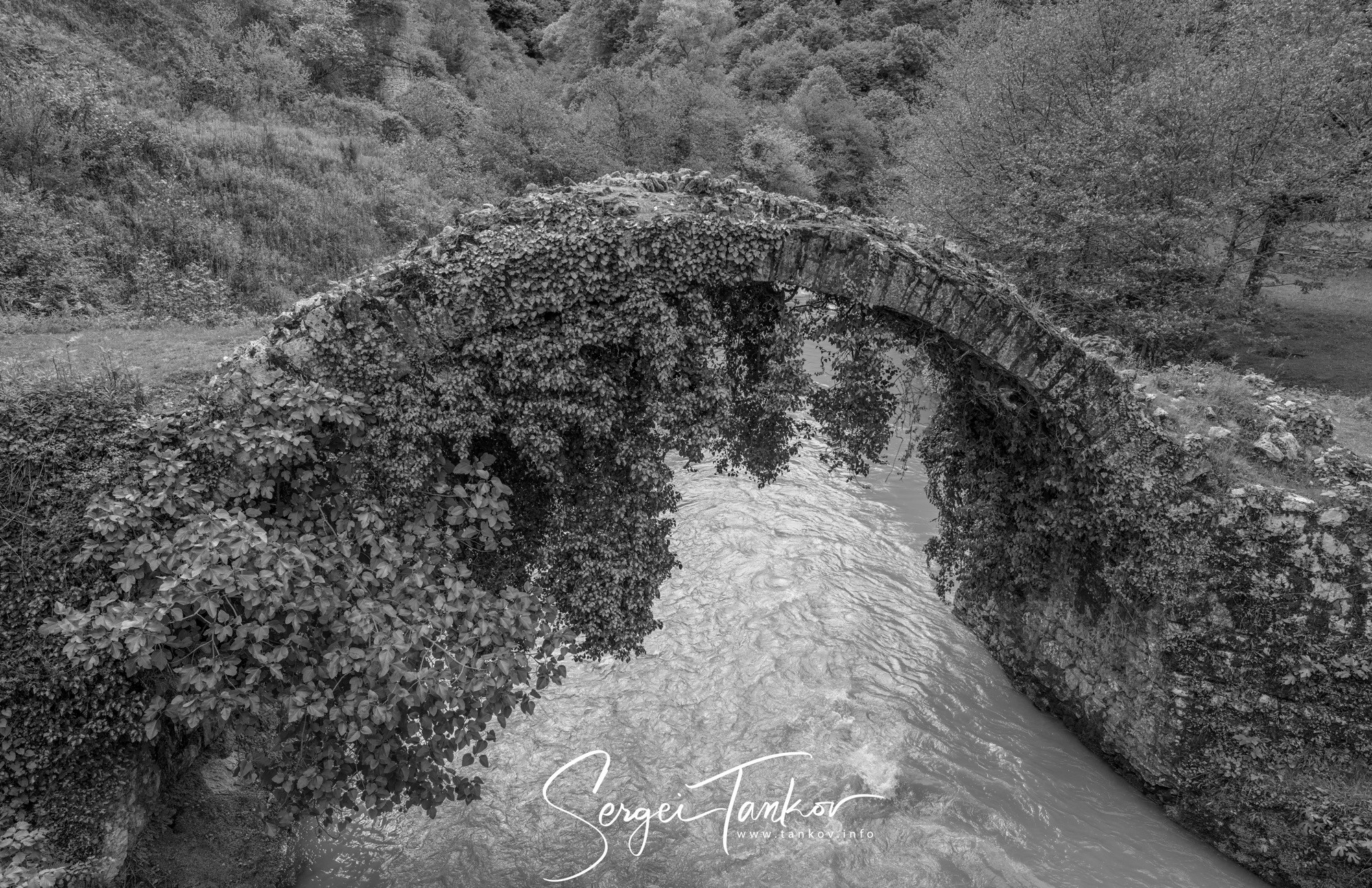 Абхазия (май 2019). Фотограф Сергей Танков