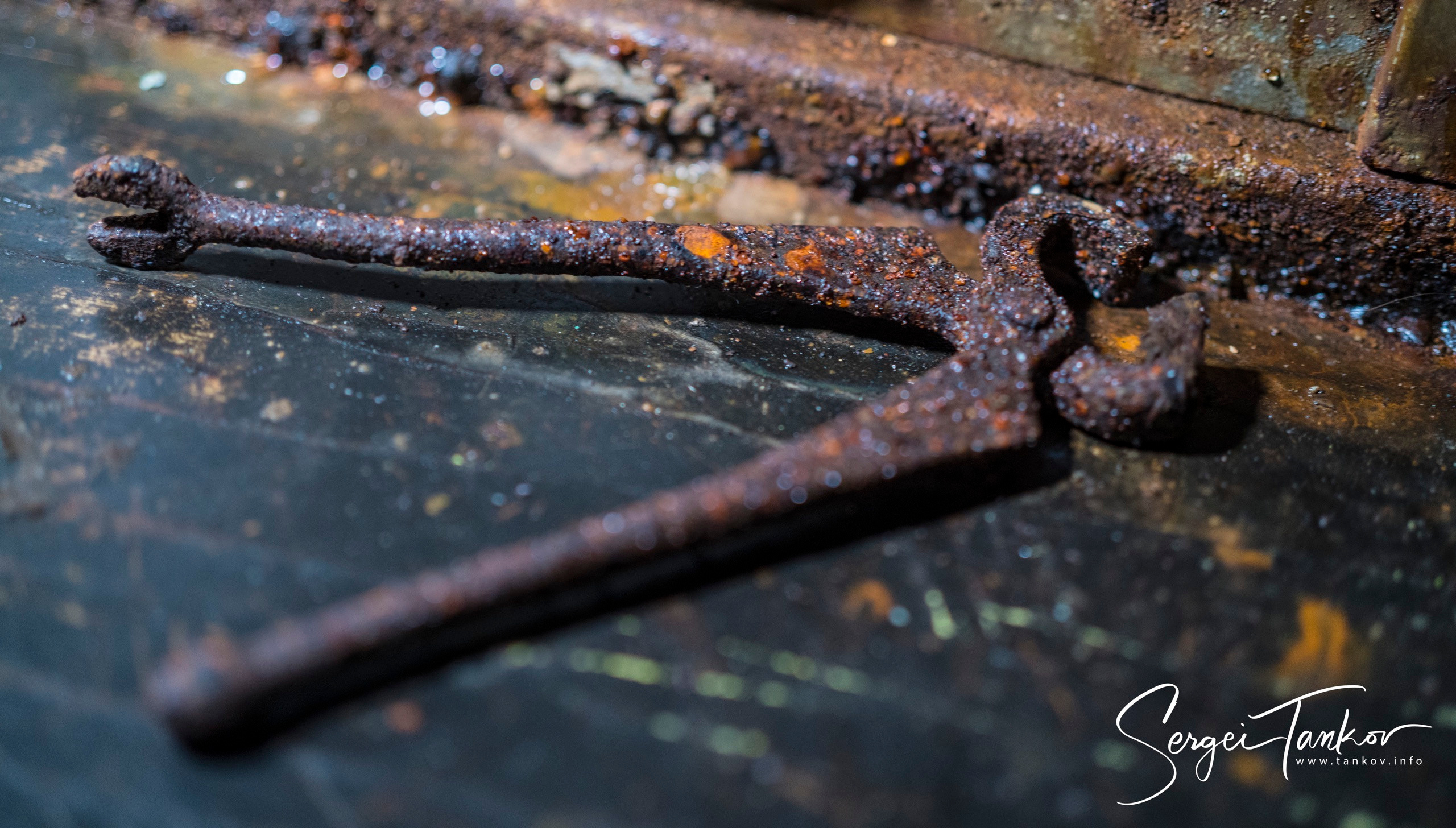 Владивосток (сентябрь 2019). Фотограф Сергей Танков