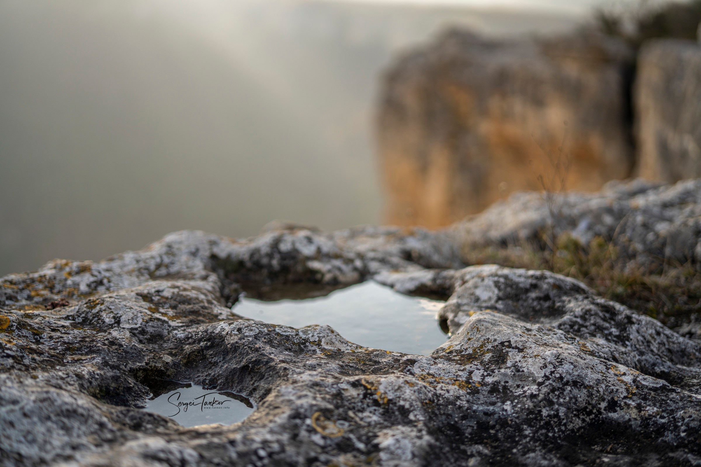 Крым (январь 2020). Фотограф Сергей Танков