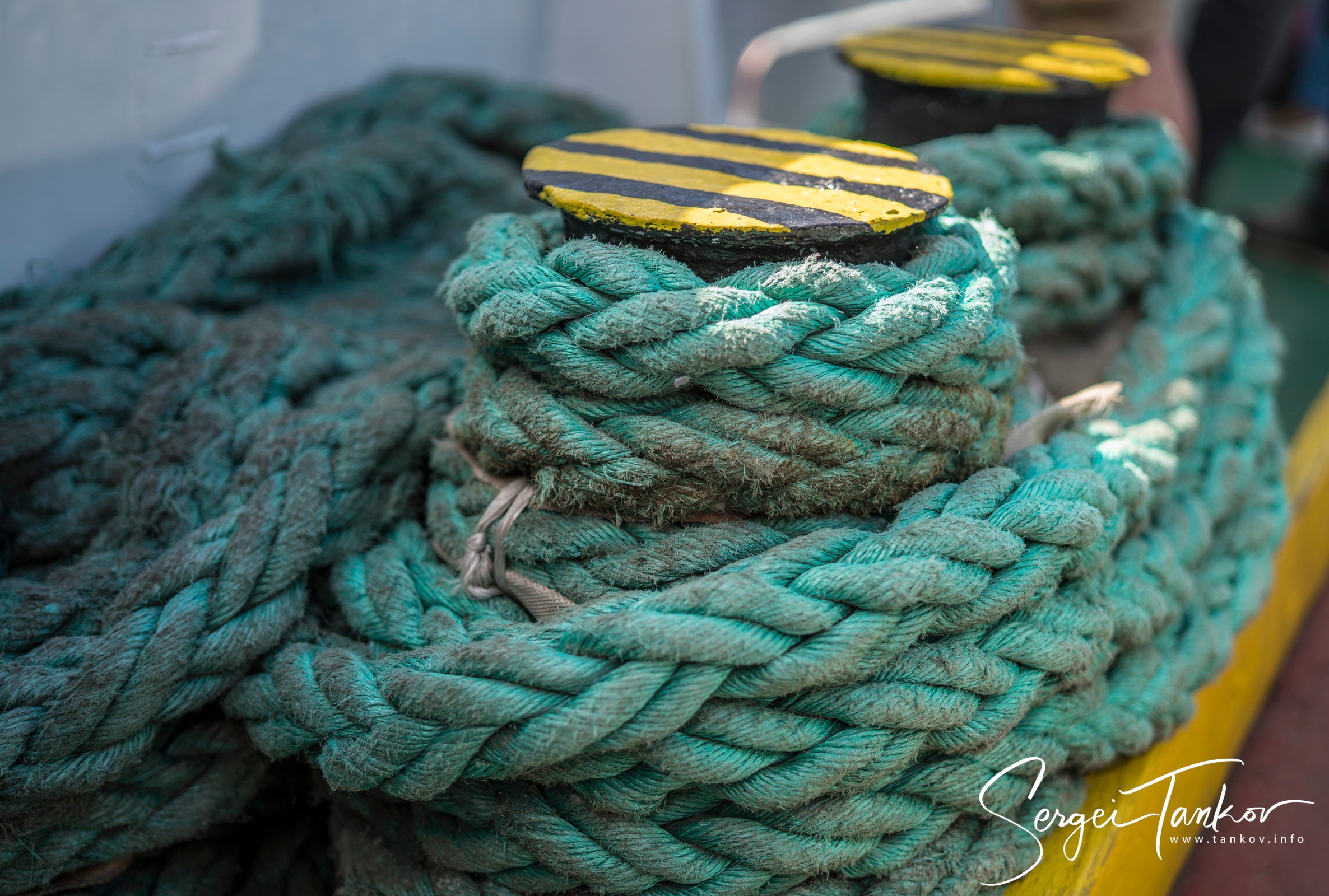 Калининград (июнь 2019). Фотограф Сергей Танков