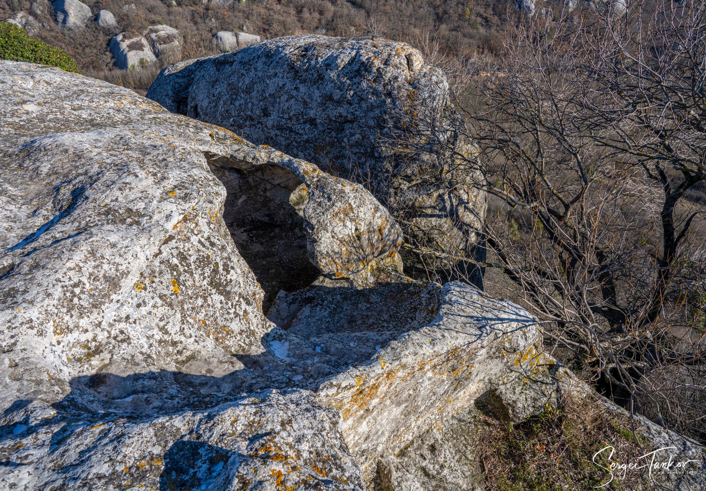 Крым (январь 2020). Фотограф Сергей Танков