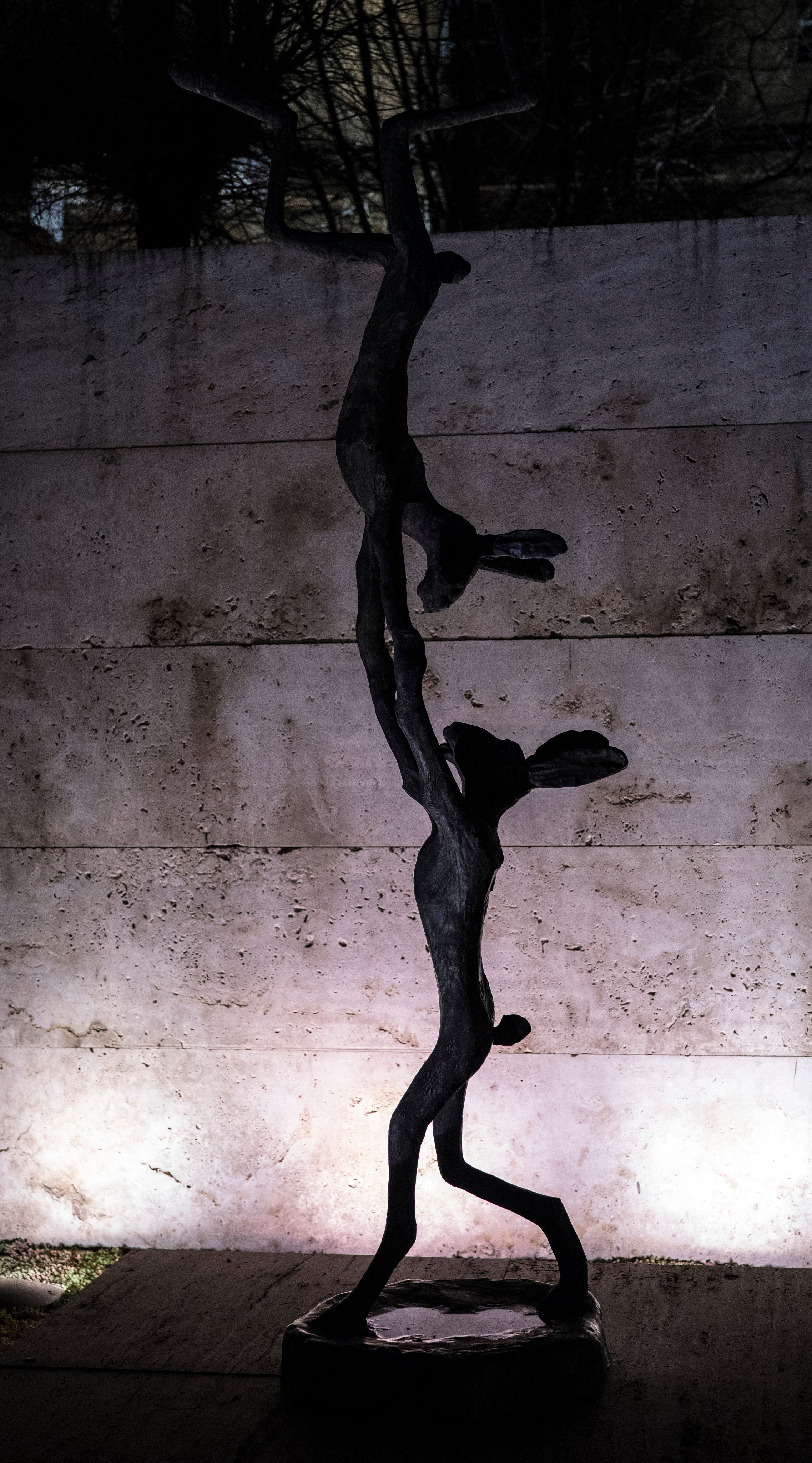 Армения (январь 2019). Фотограф Сергей Танков