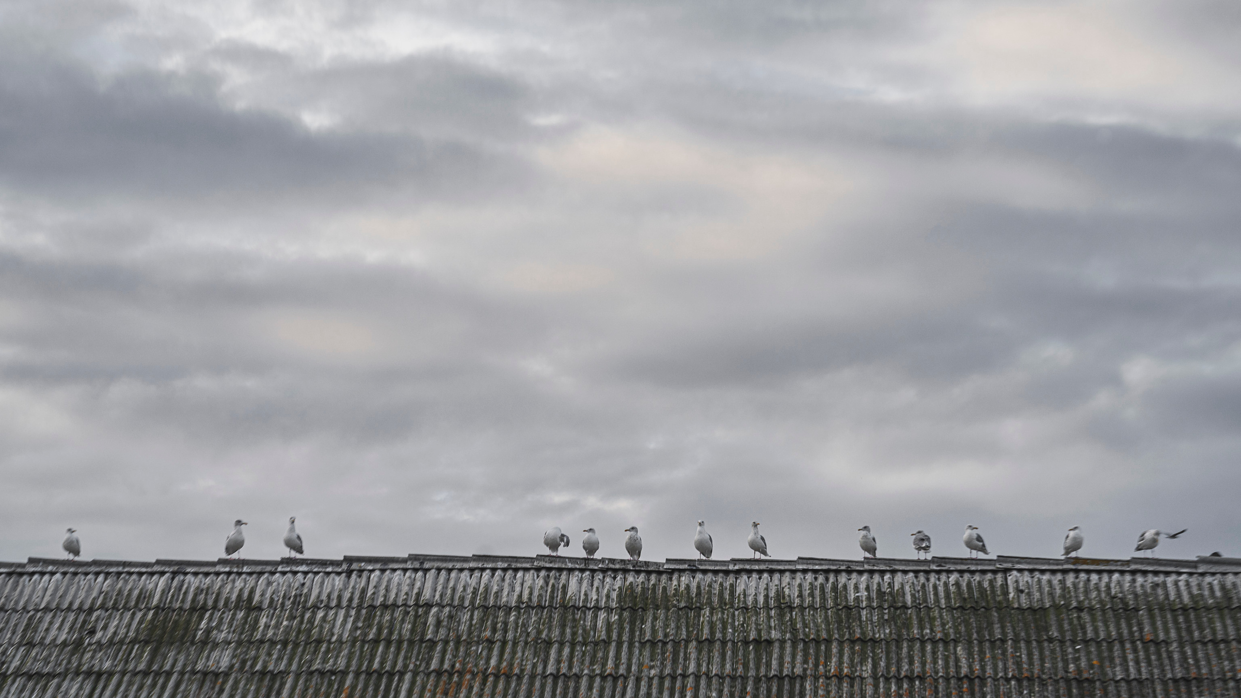 Териберка (октябрь 2020). Фотограф Сергей Танков