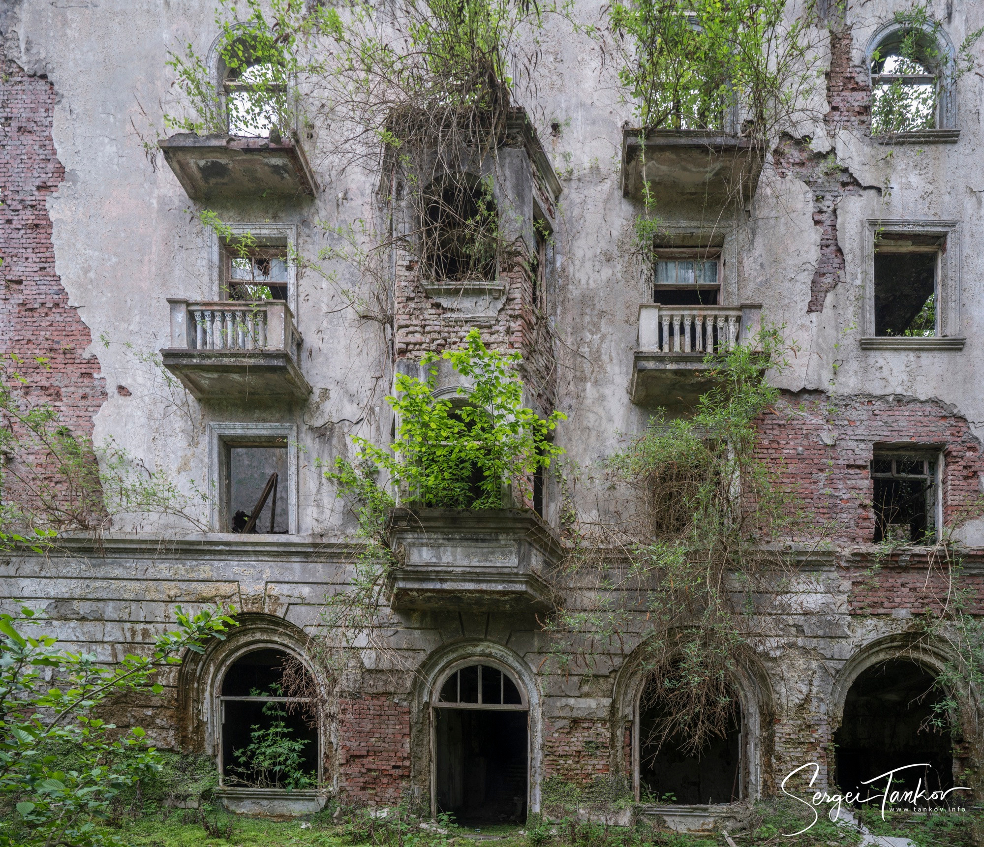 Абхазия (май 2019). Фотограф Сергей Танков