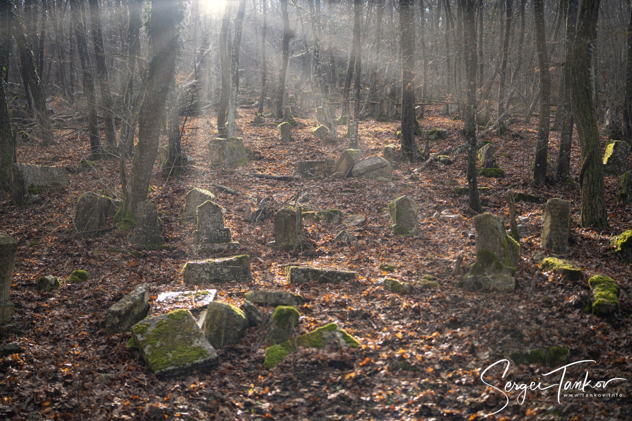 Крым (январь 2020). Фотограф Сергей Танков