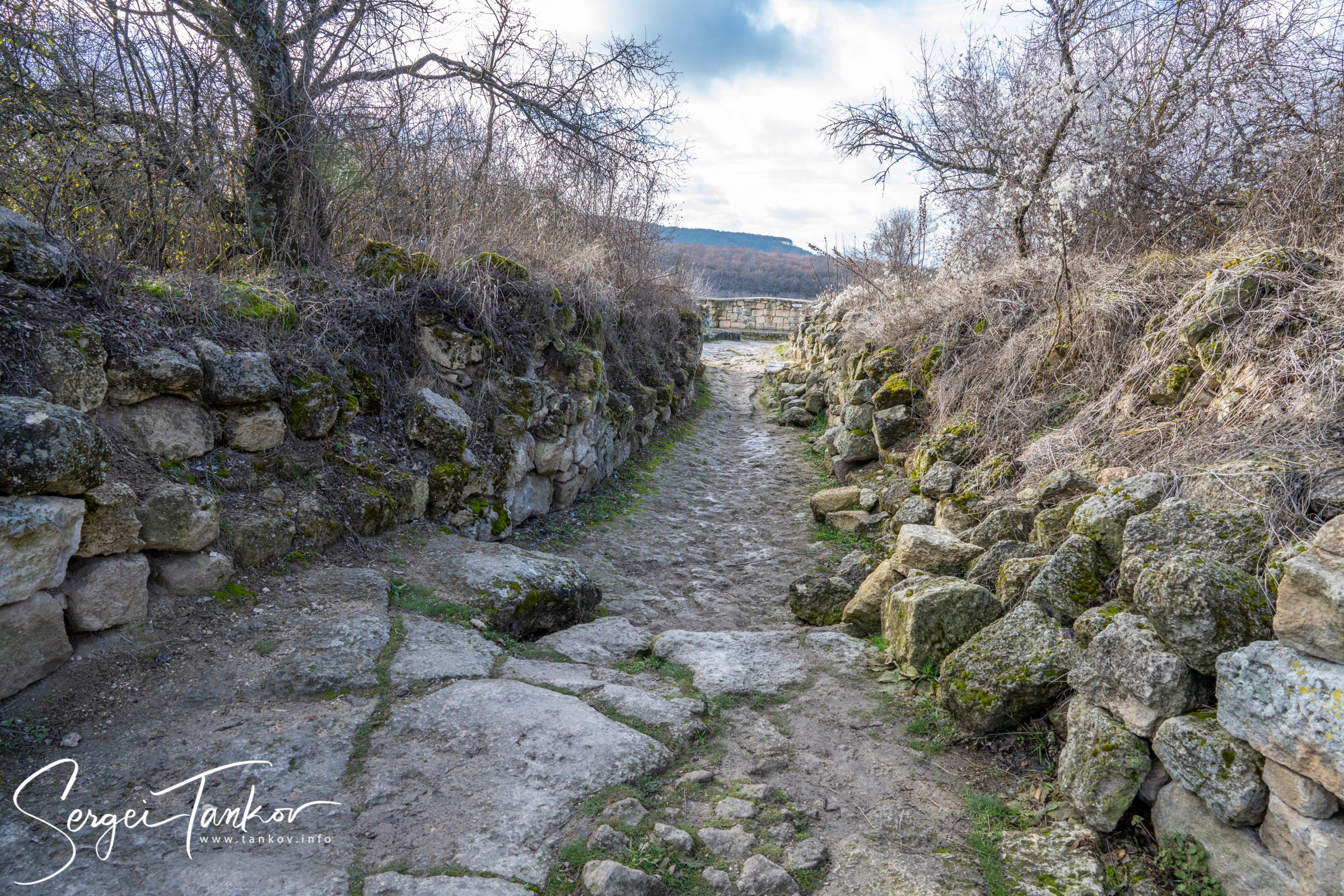 Крым (январь 2020). Фотограф Сергей Танков