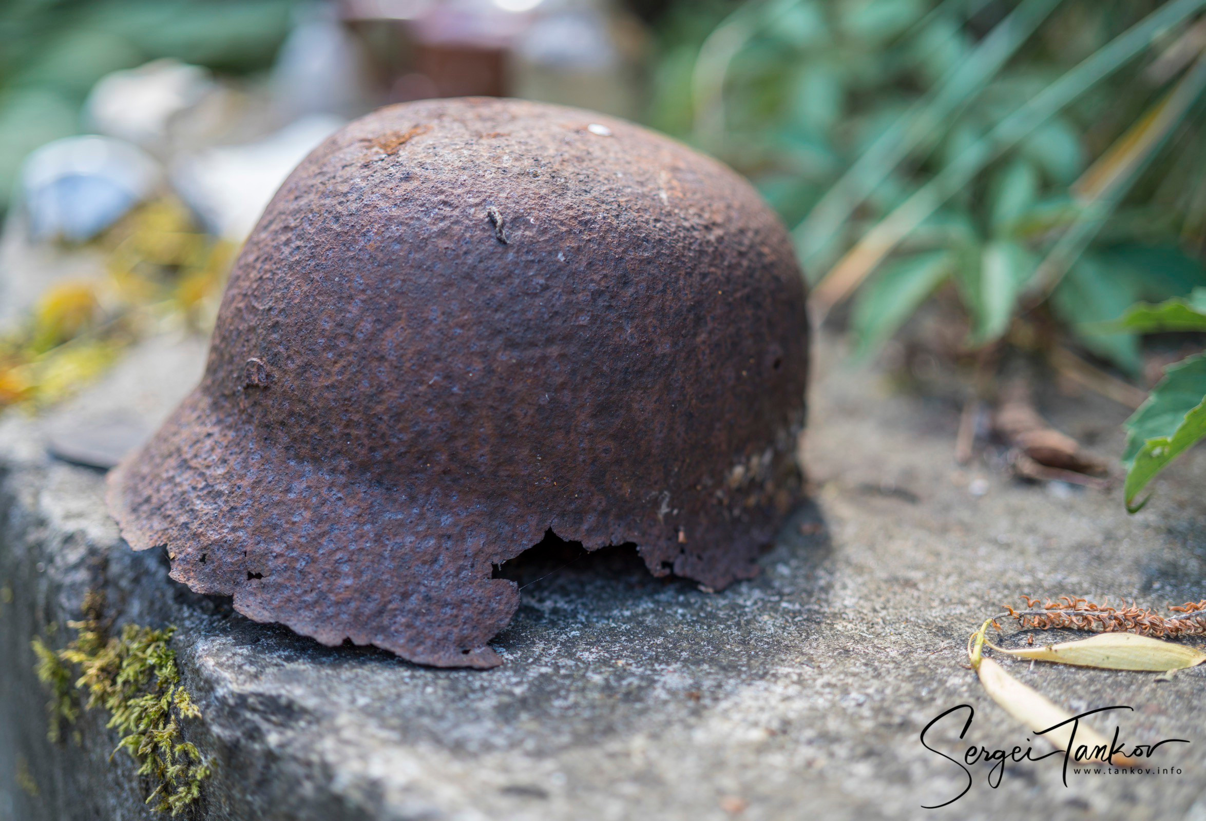 Калининград (июнь 2019). Фотограф Сергей Танков