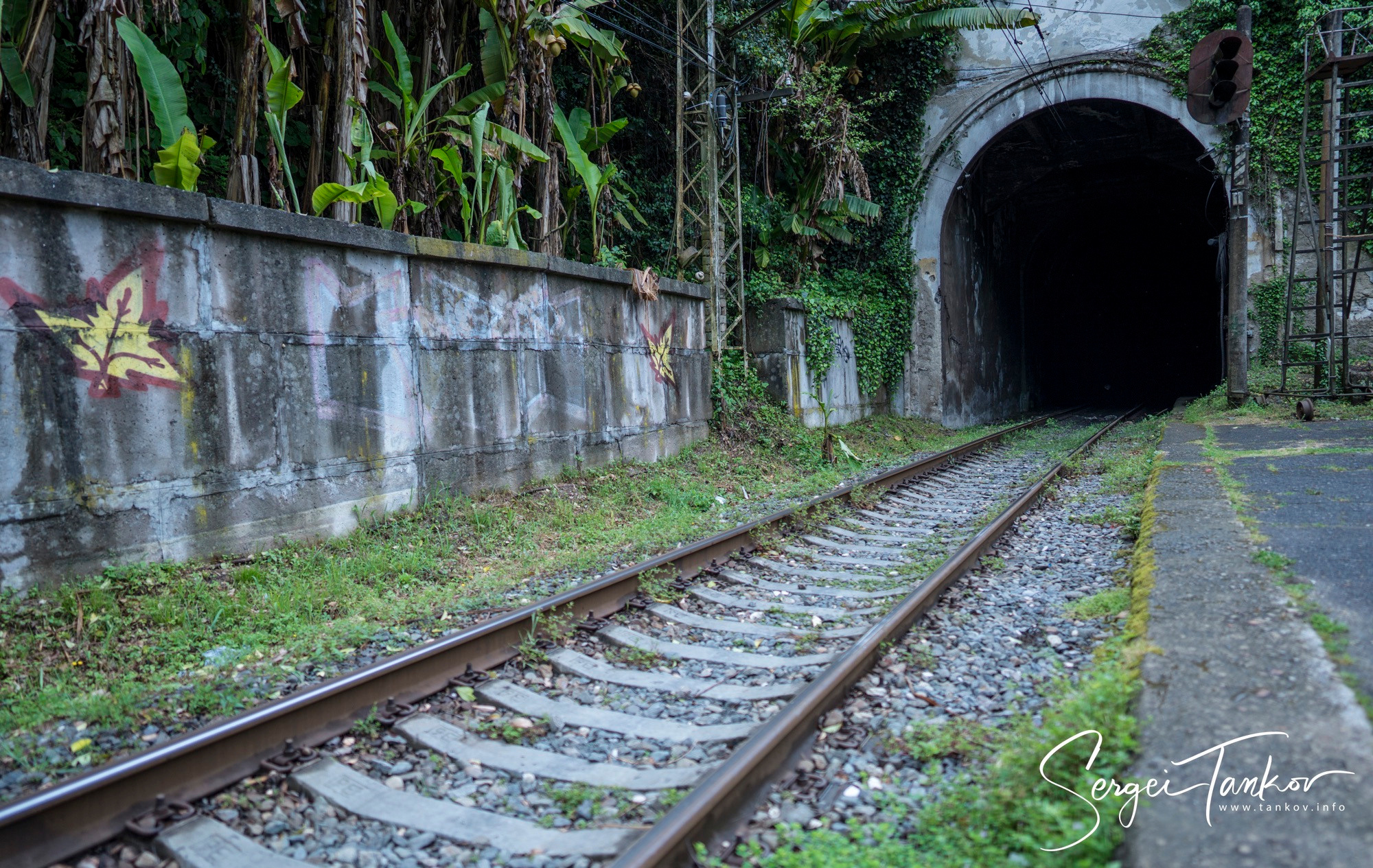 Абхазия (май 2019). Фотограф Сергей Танков