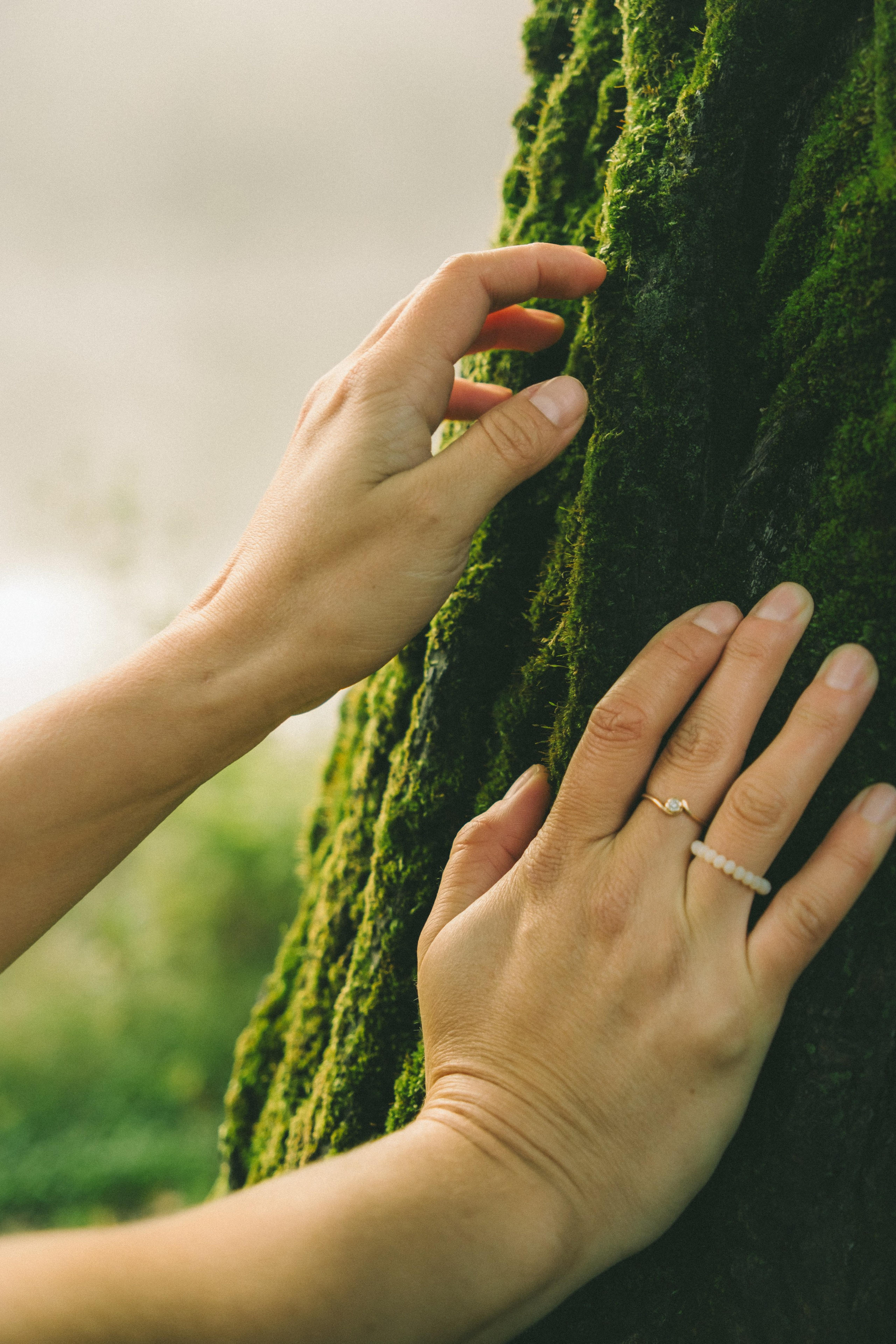 Туманный Альбион. Фотограф в Иркутске Анна Мирошникова
