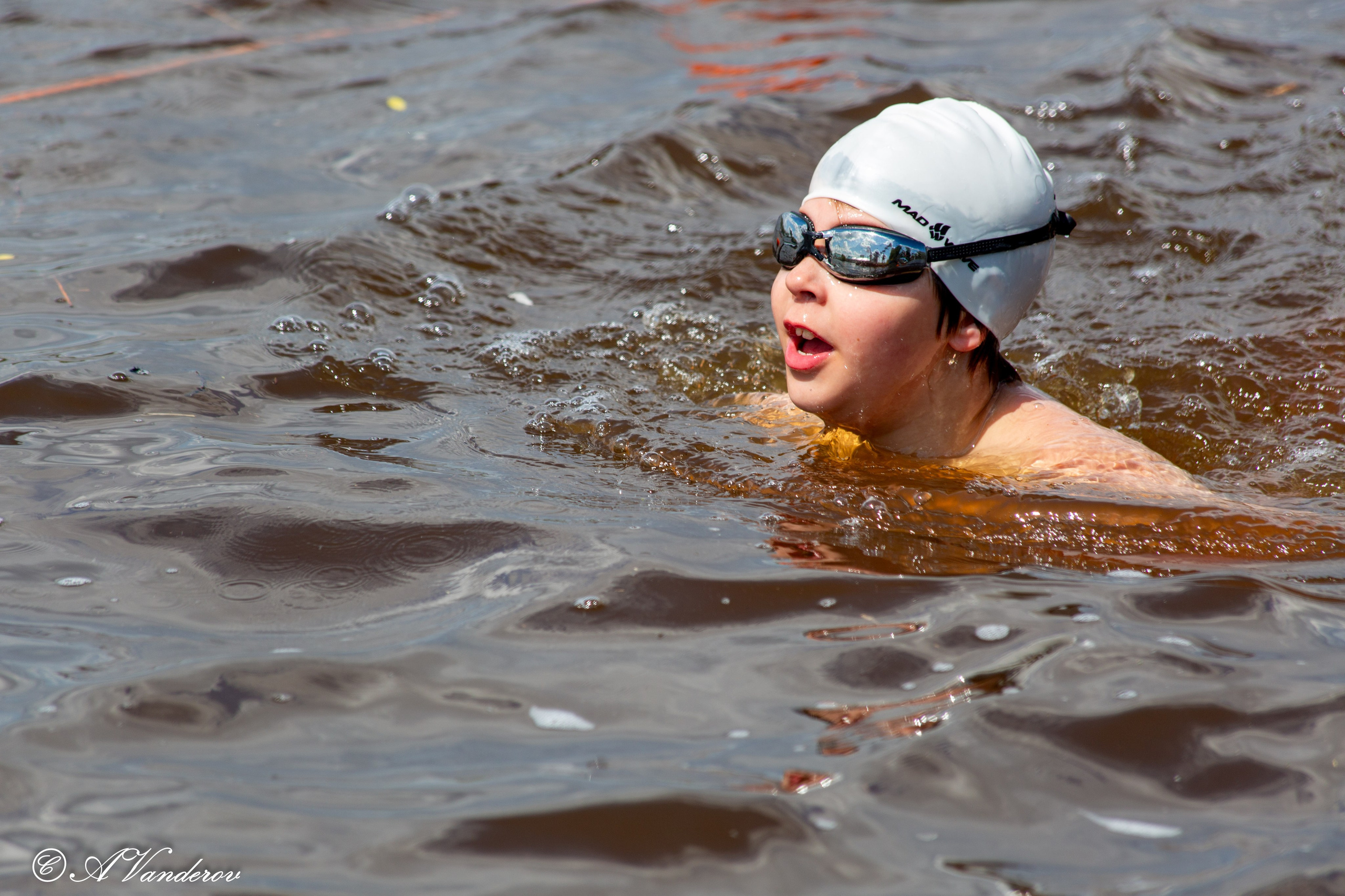 Заплыв 02.06.2024. Фотограф Омск | Александр Вандеров