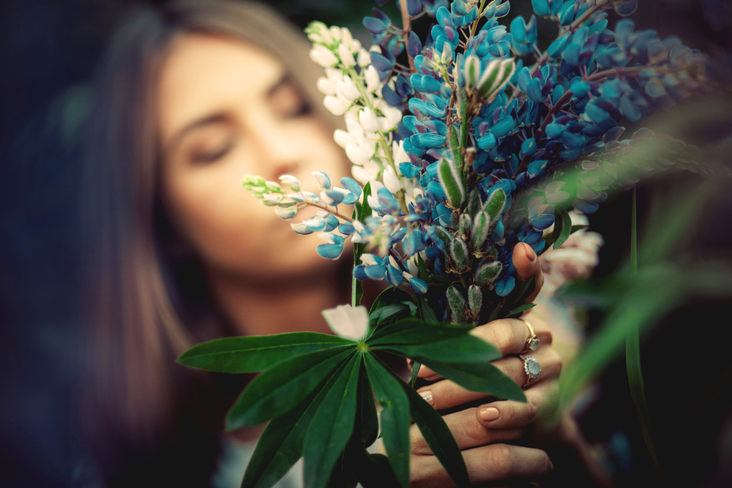 Юля — Люпины. Фотограф Михаил Коган — Москва 89267284460