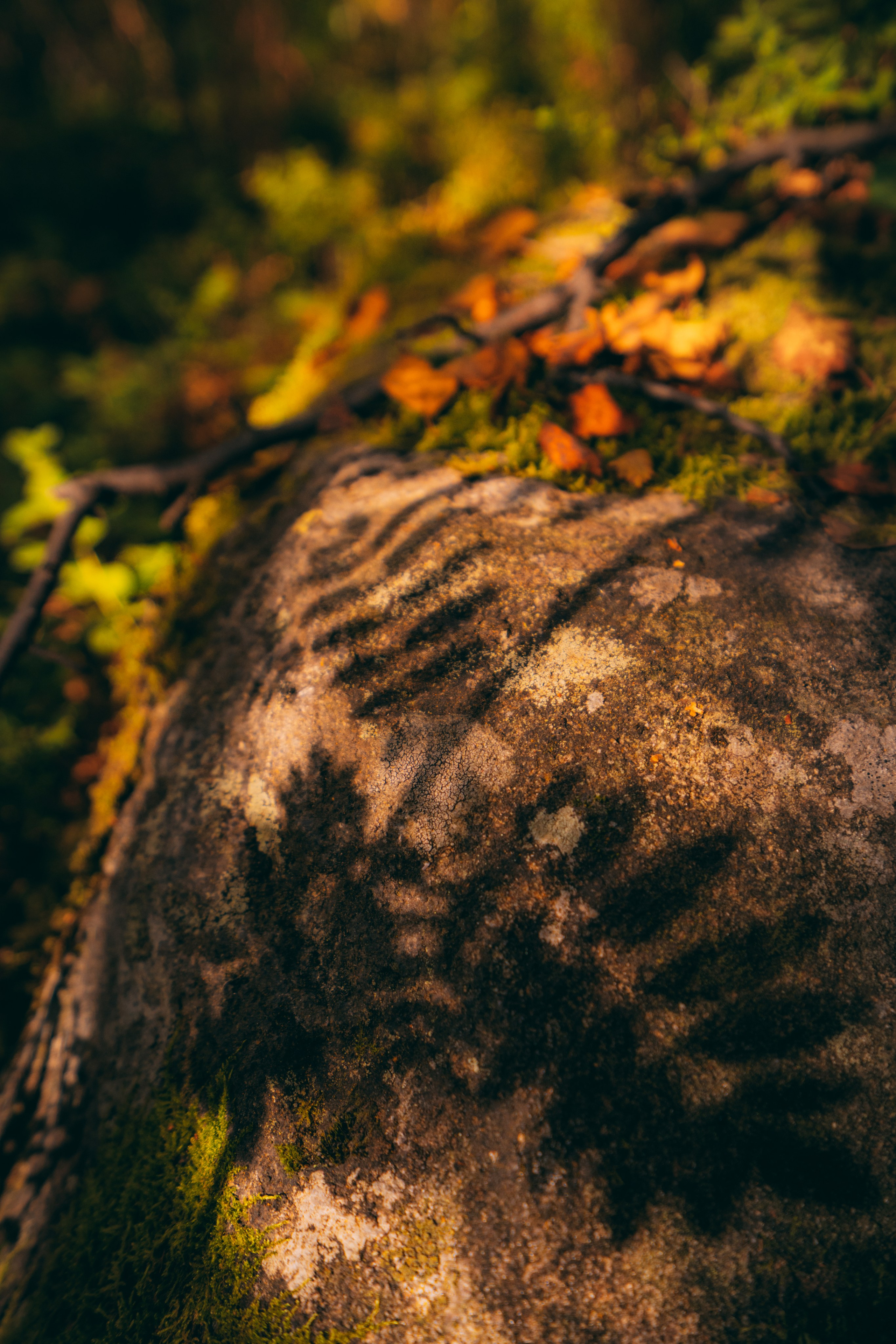 Мурманск. Фотограф Алиса Аспер