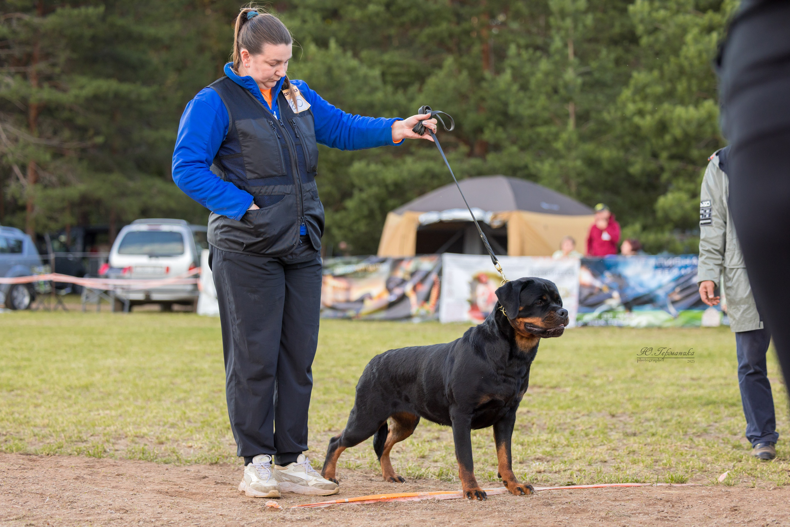 Тверь ротвейлеры 5-6.07.2025. Фотограф-анималист Юлия Германика