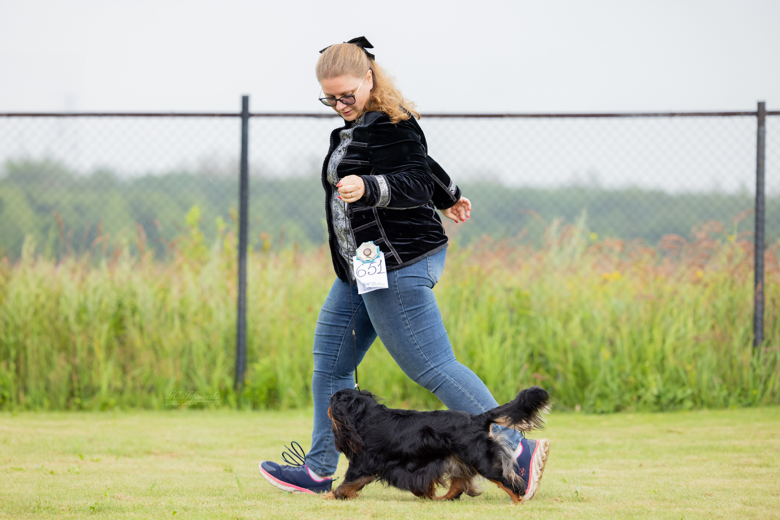 Ярославль 21.07.24 и Балашиха 13.07.24. Фотограф-анималист Юлия Германика