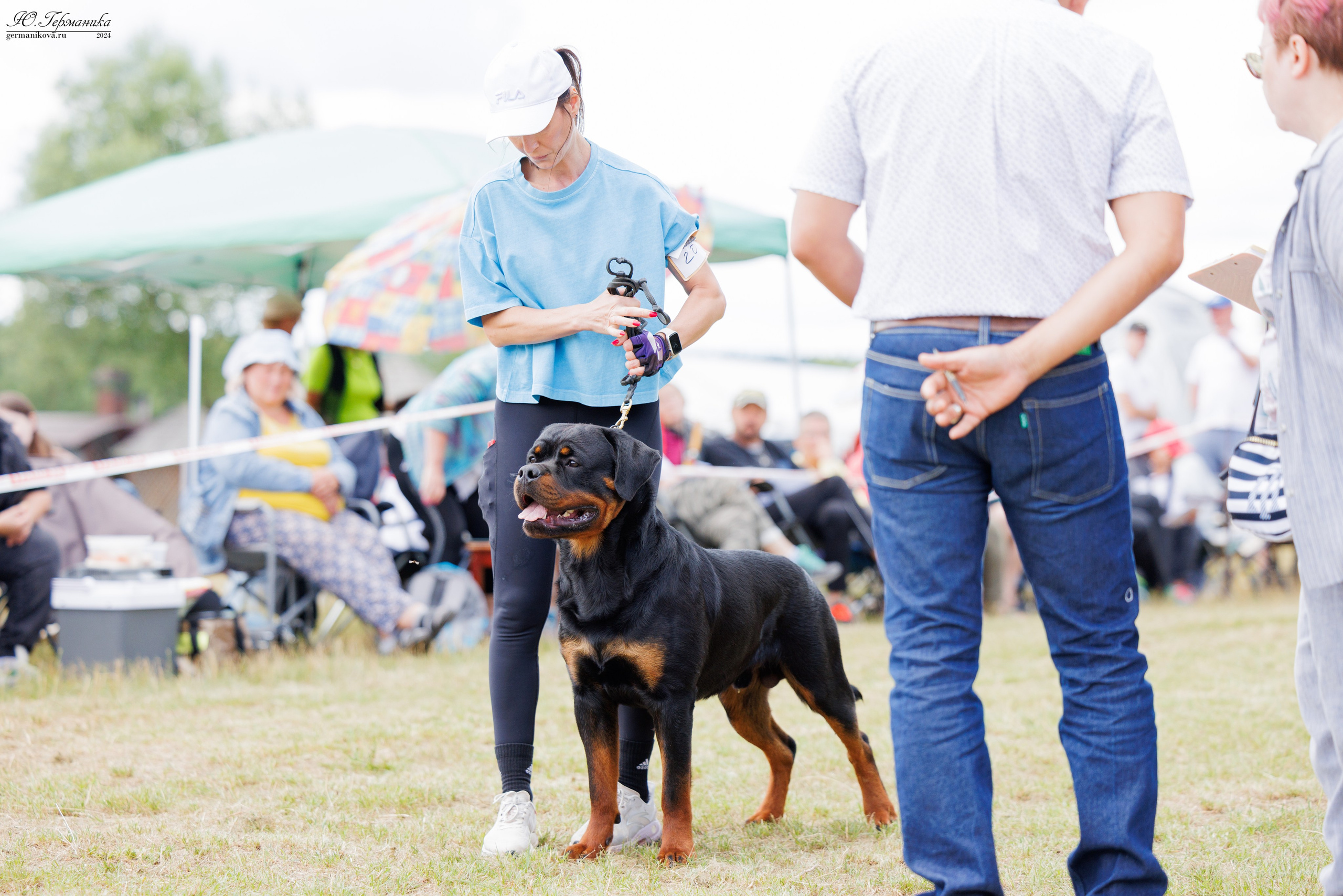 ПК и КЧК ротвейлеры Тверь 6-7.07.2024. Фотограф-анималист Юлия Германика